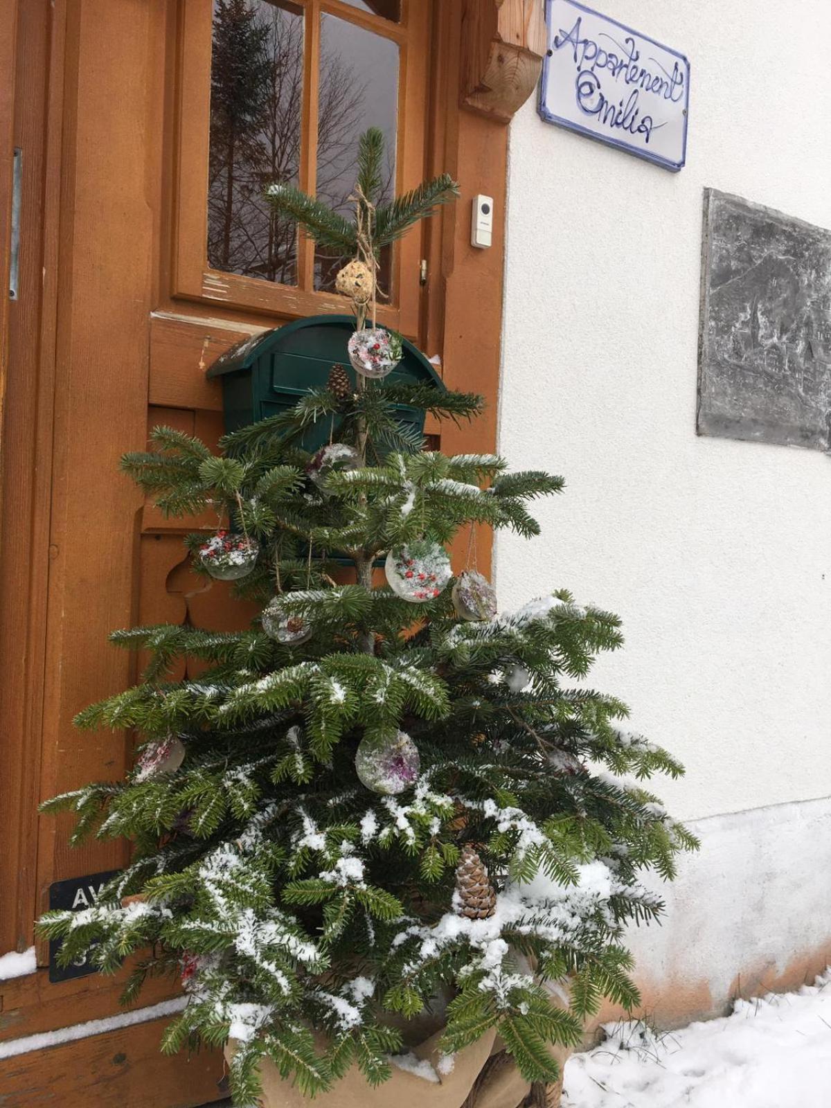 Appartement Emilia