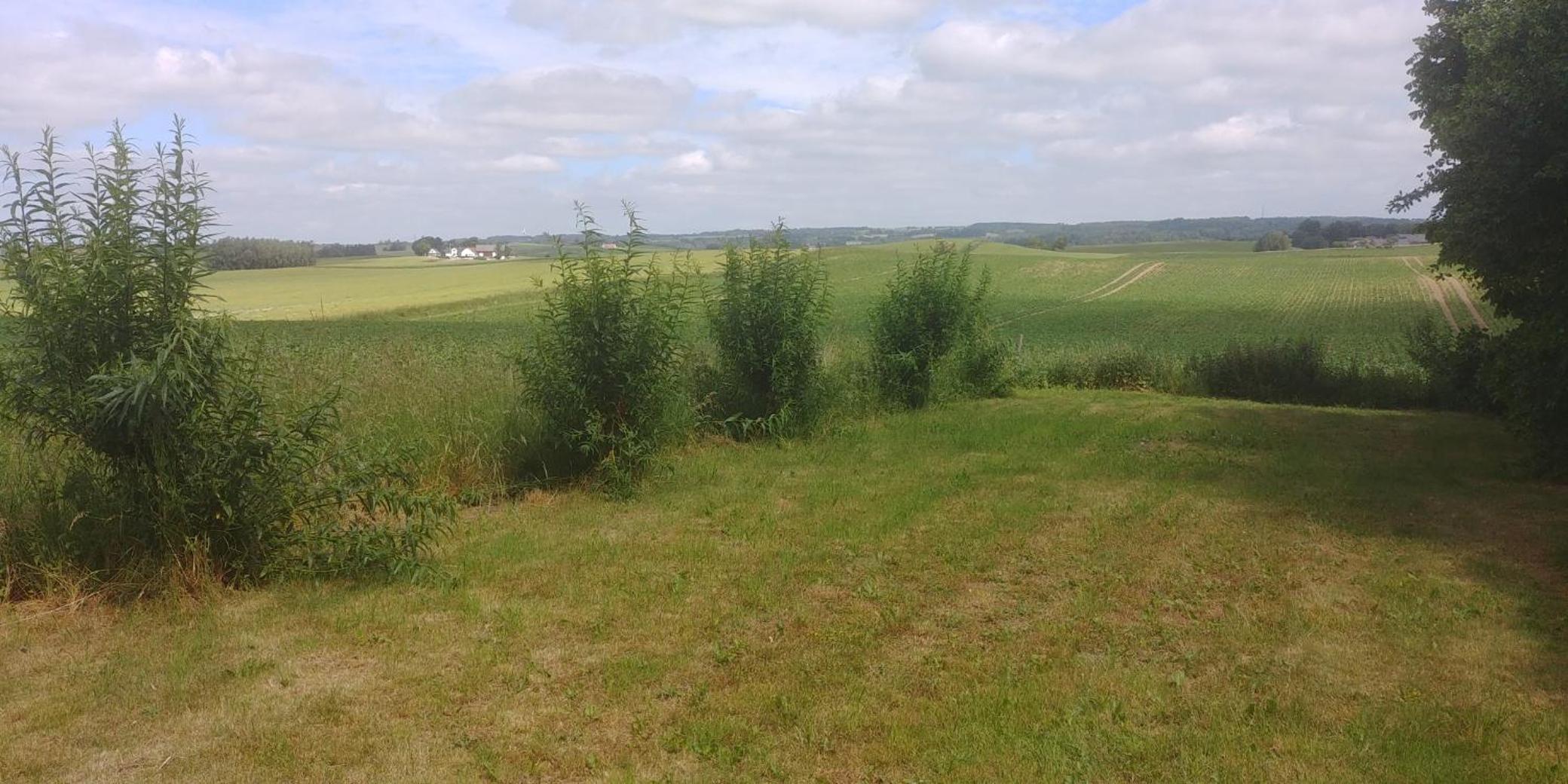 Photo 38