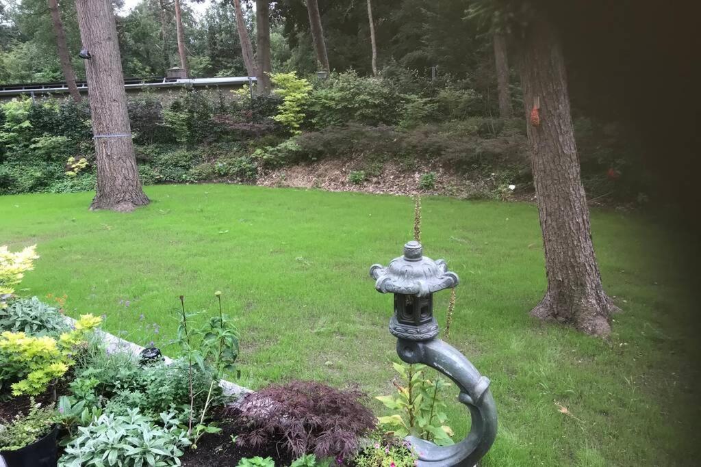 Japanse bostuin met Wifi view 5