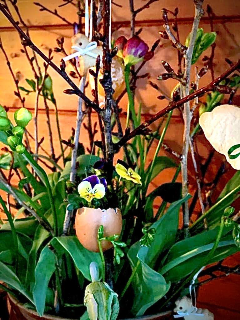 Appartement Emilia