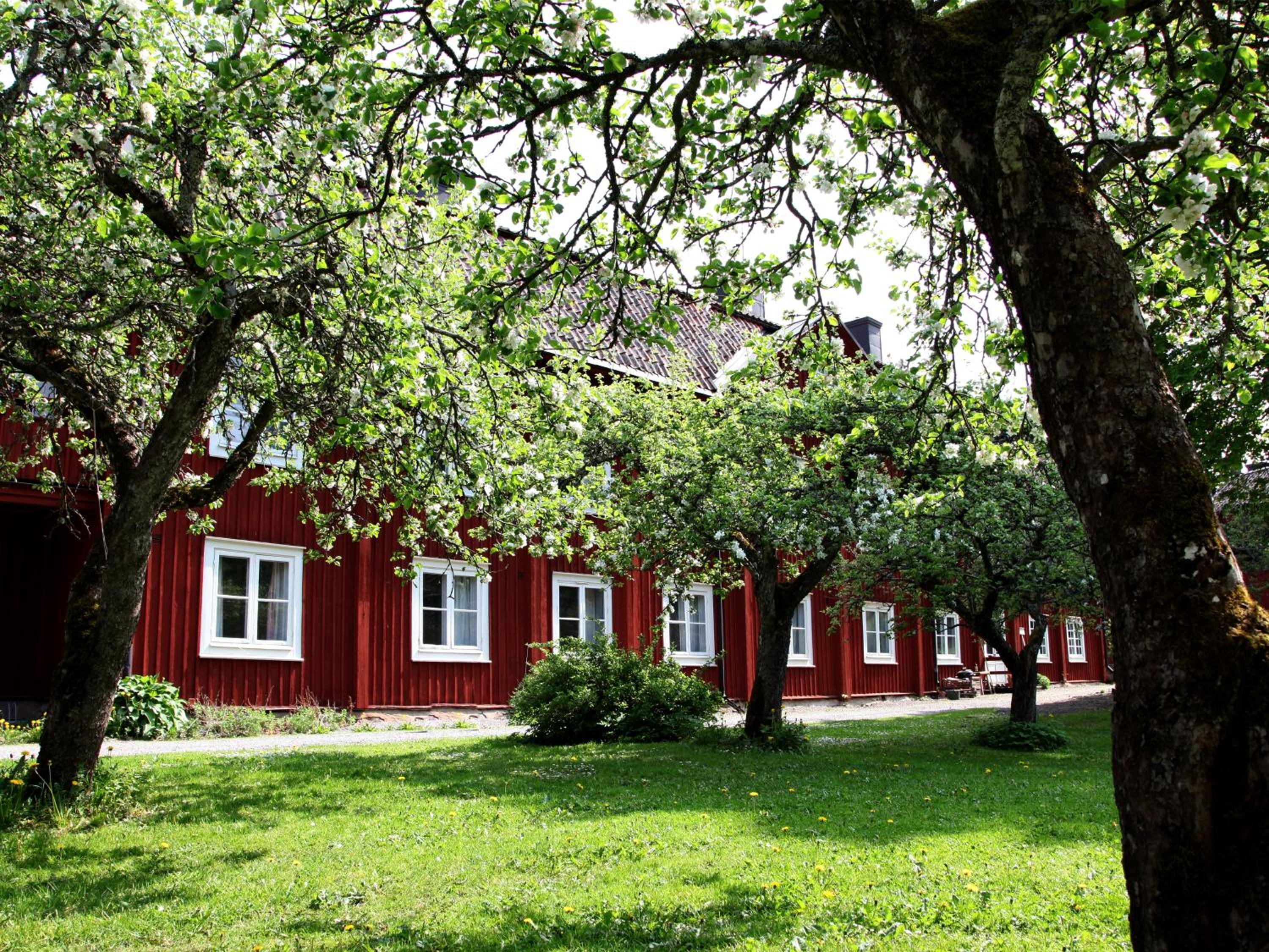 Photo 42