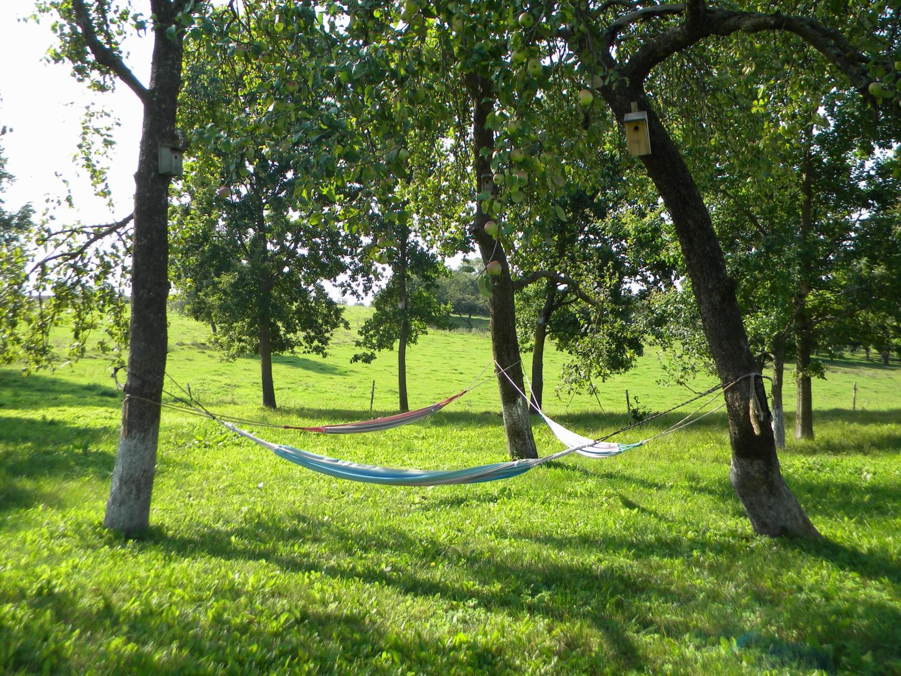 Photo 45
