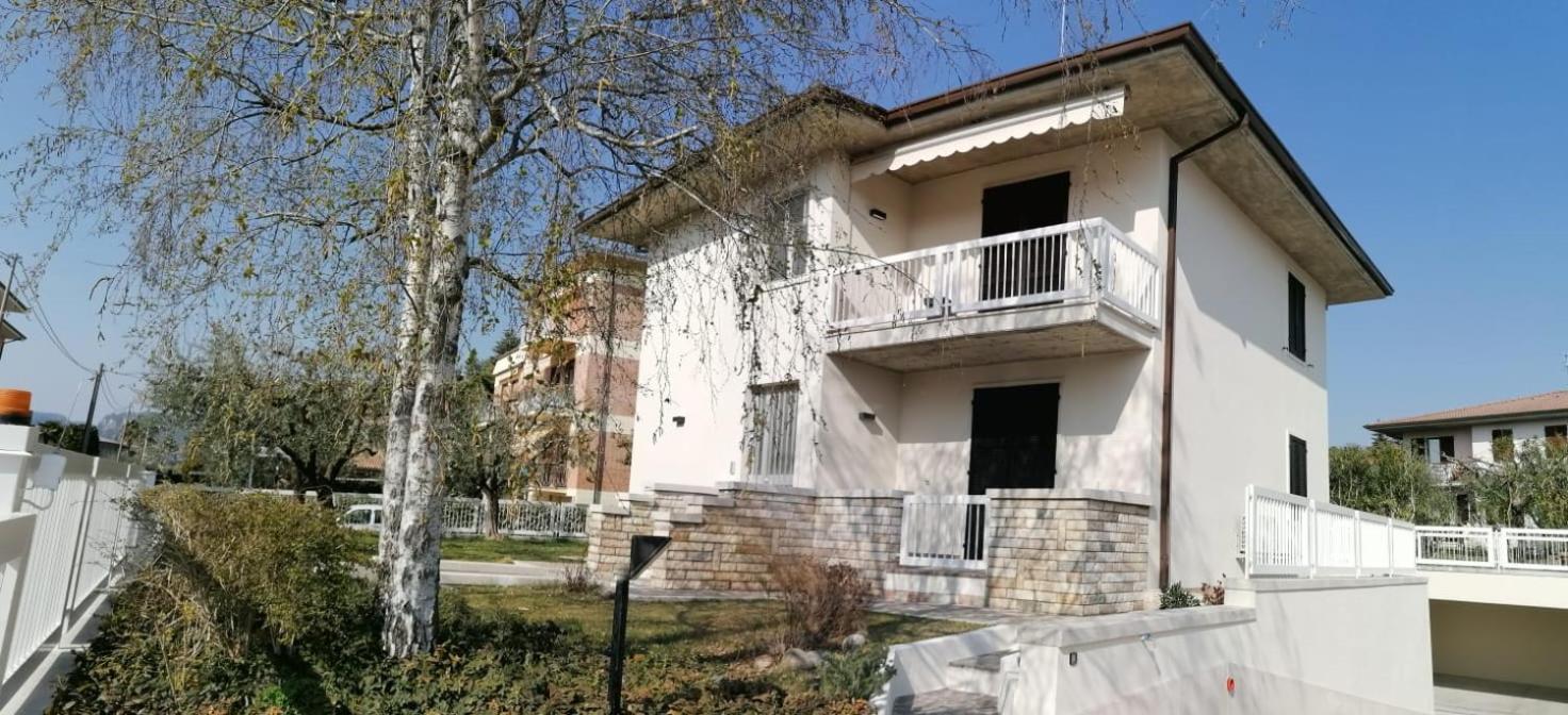 BETULLA BIANCA view 3