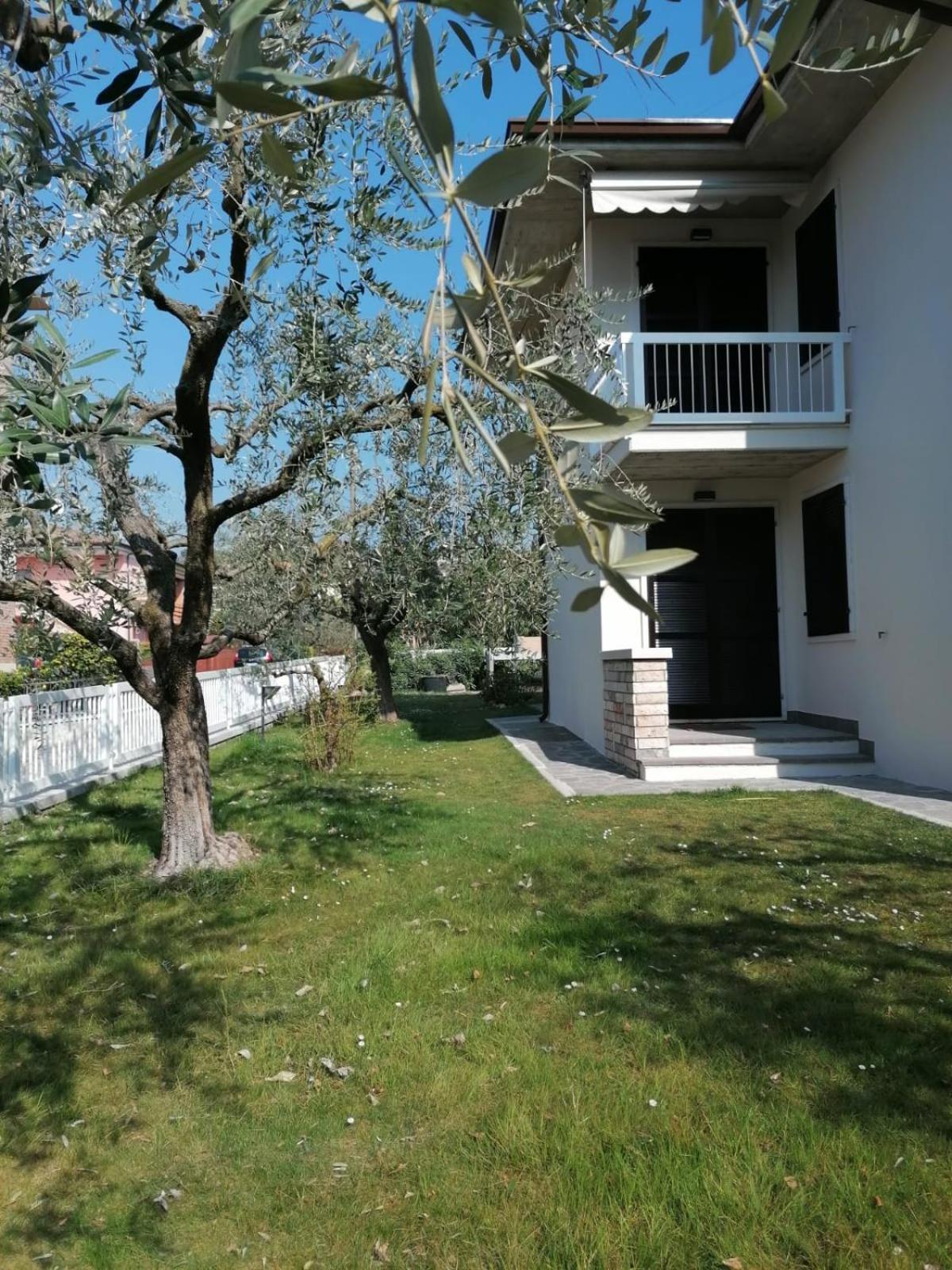 BETULLA BIANCA view 2