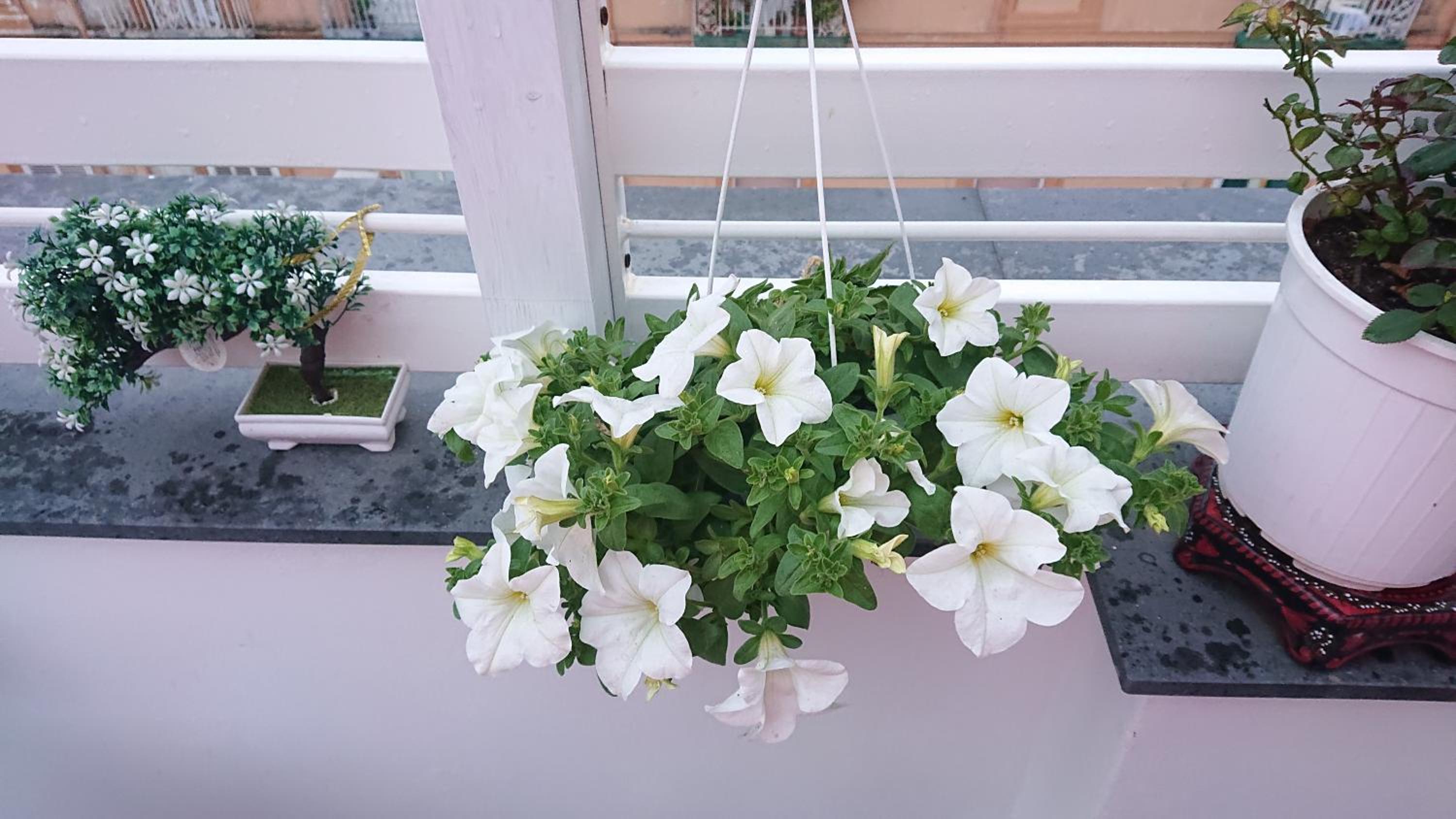 Sky-Terrace in Central Station, 3 bedrooms