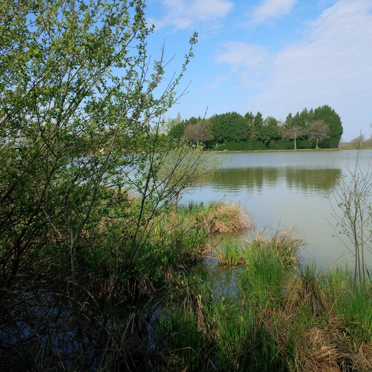 Village Flottant de Pressac