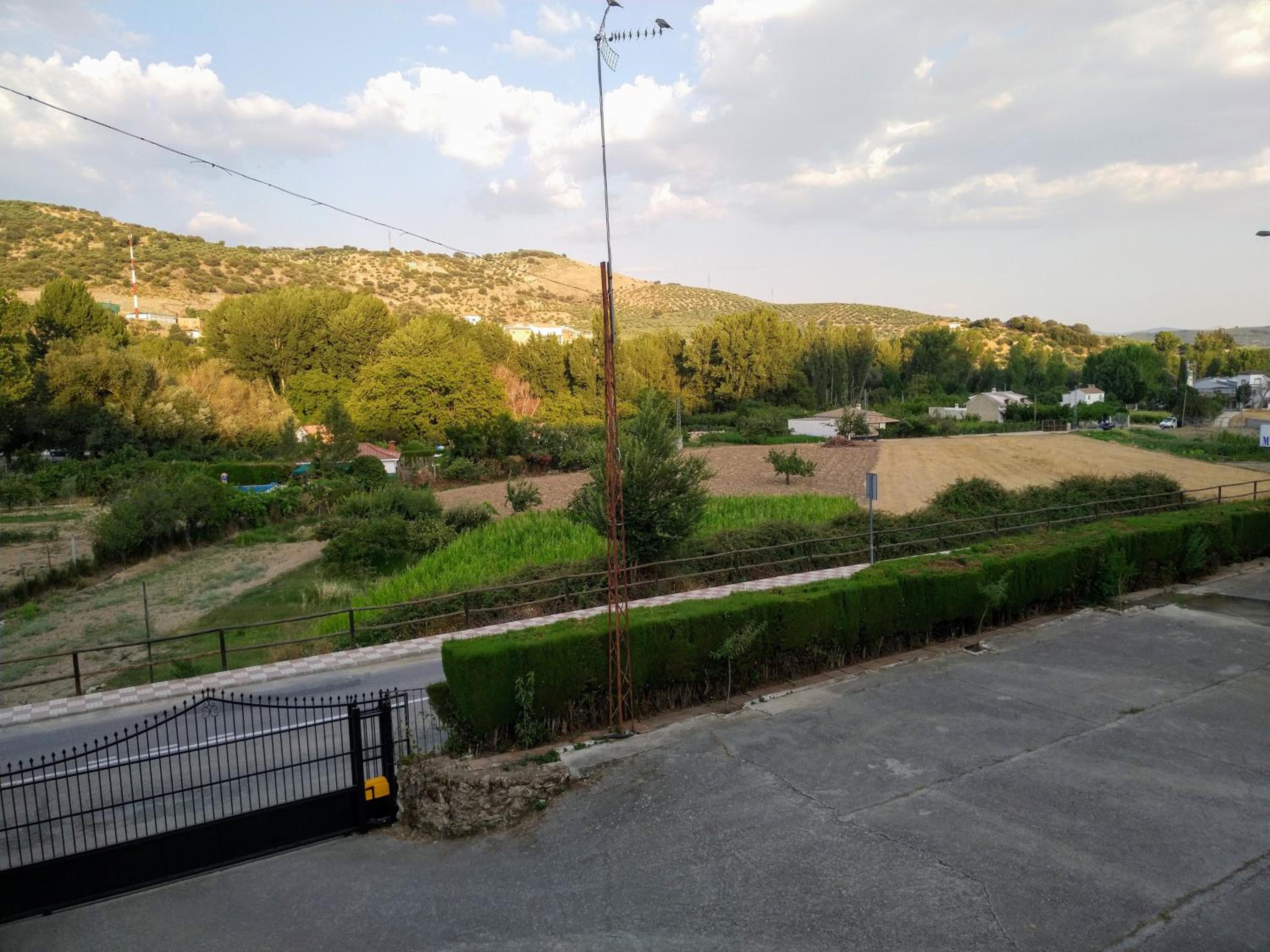 Photo 26