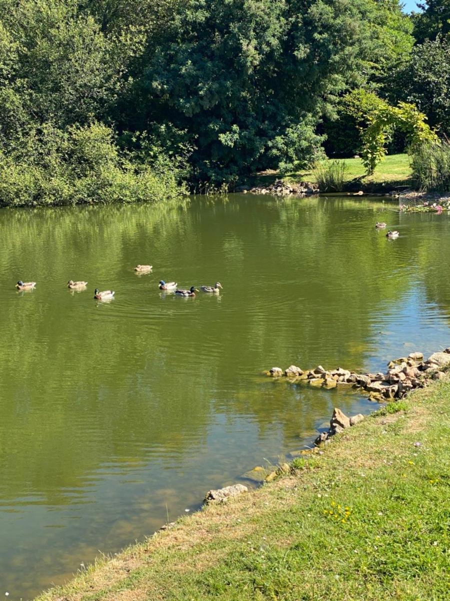 La Fermette Aux Canards view 4