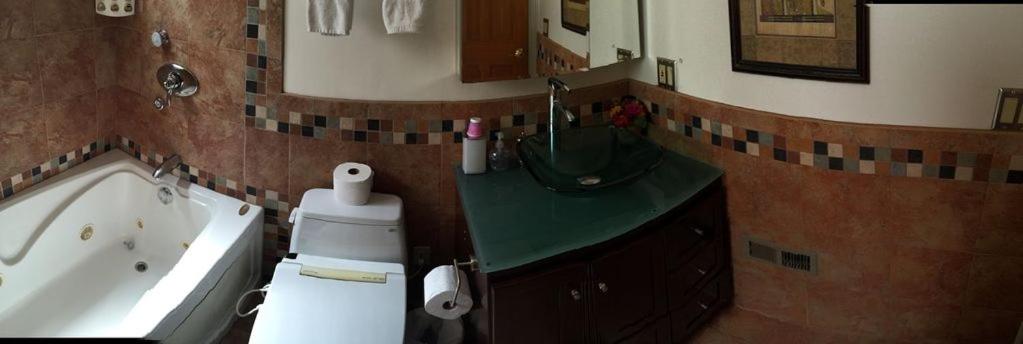 Photo 15