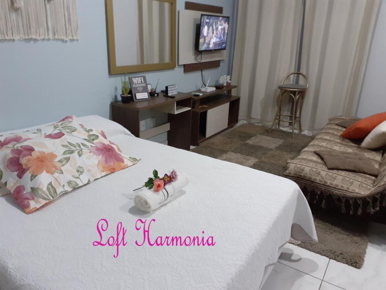 loft harmonia view 5