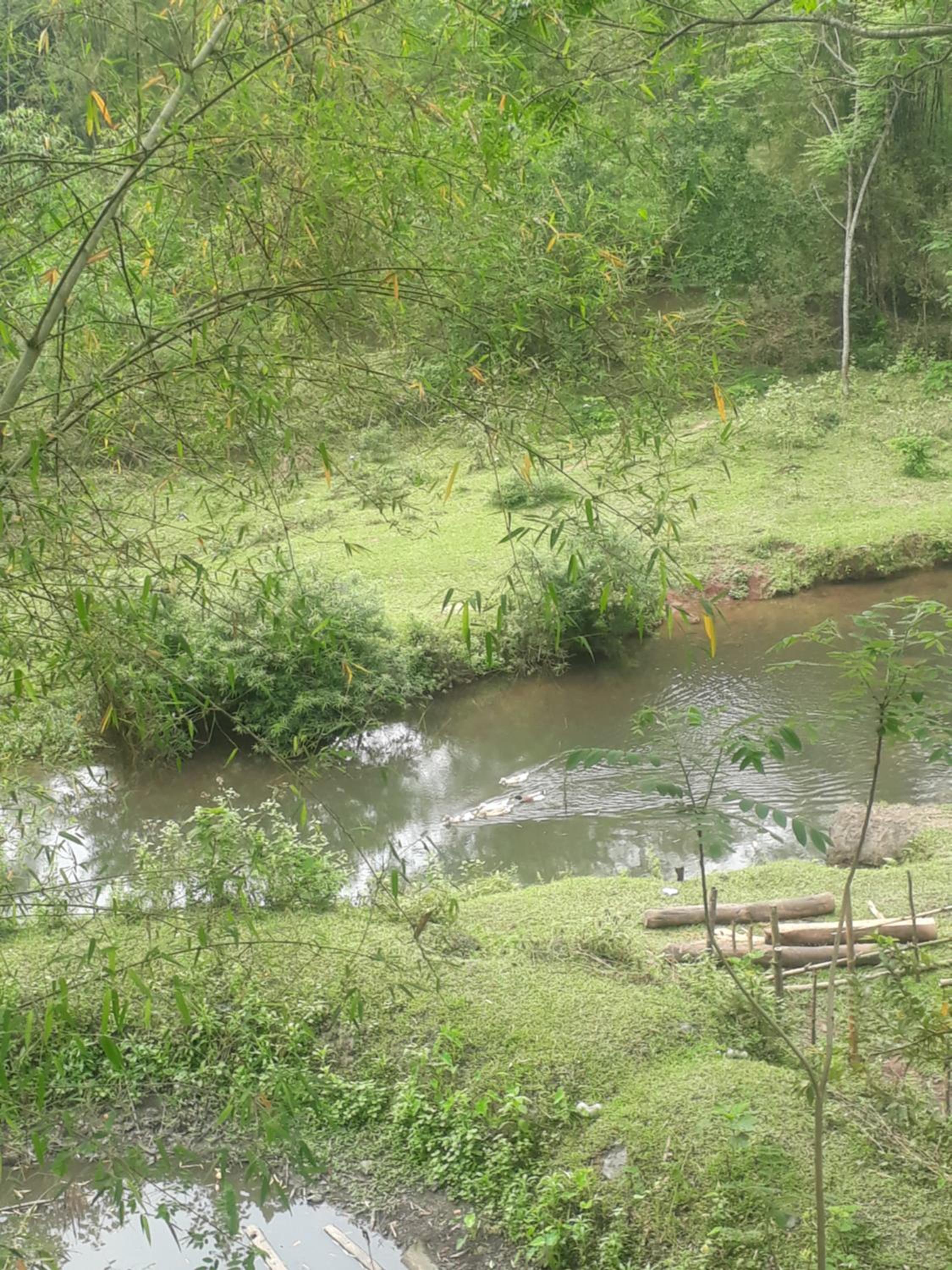 Photo 45