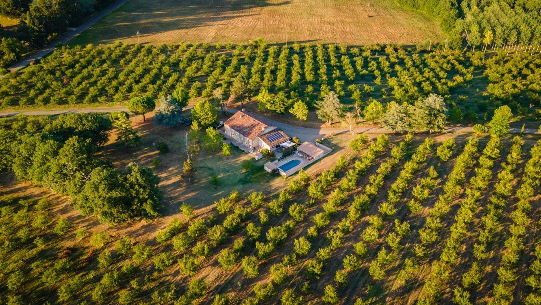 Gîte de Beausoleil en La Romieu