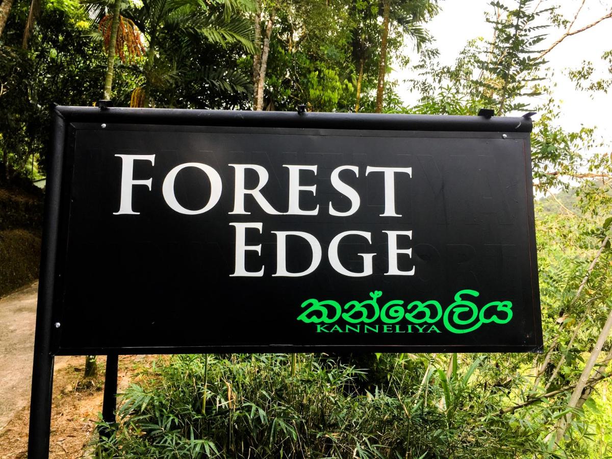 Forest Edge Kanneliya view 2