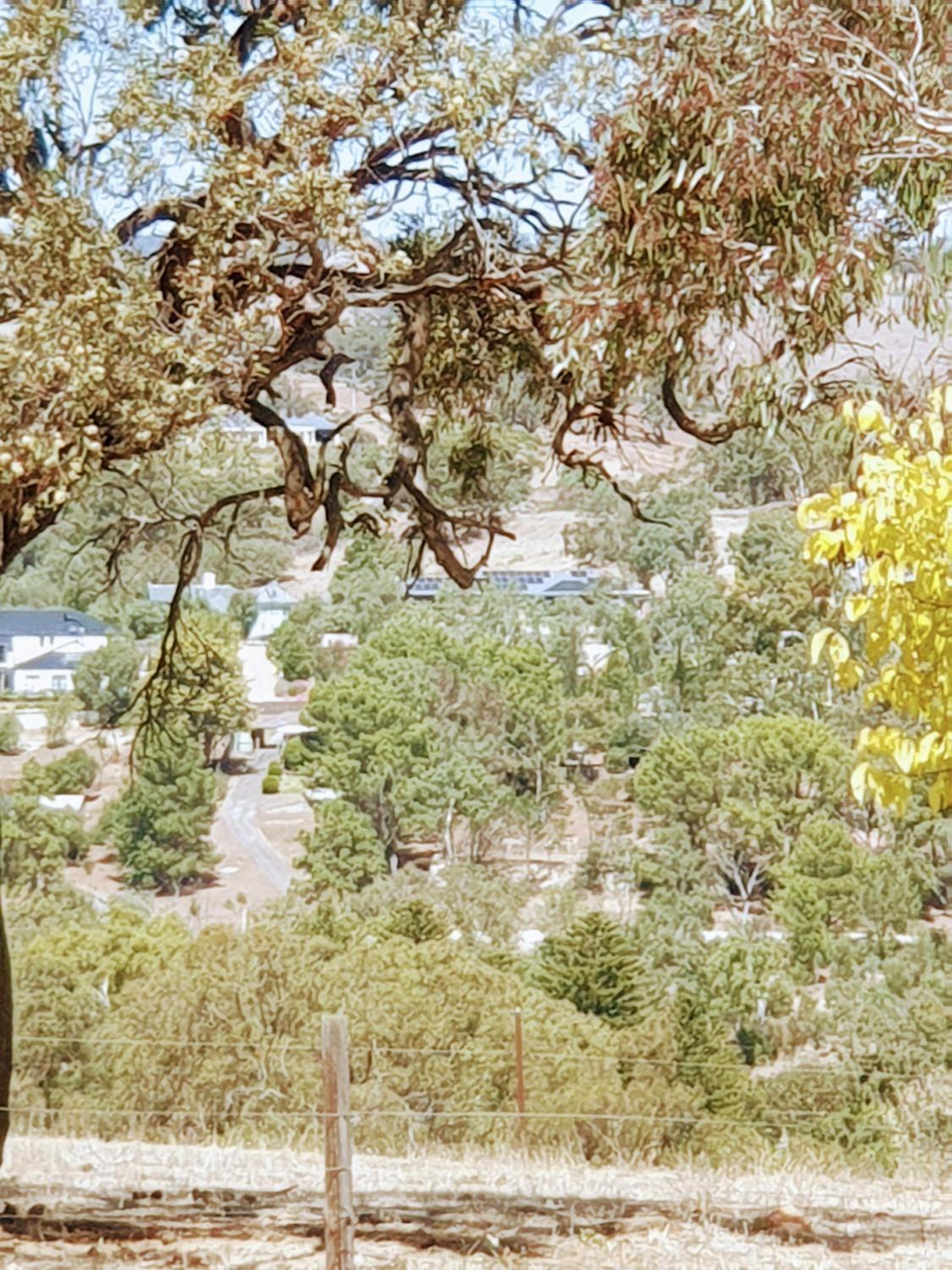 Angaston Lodge