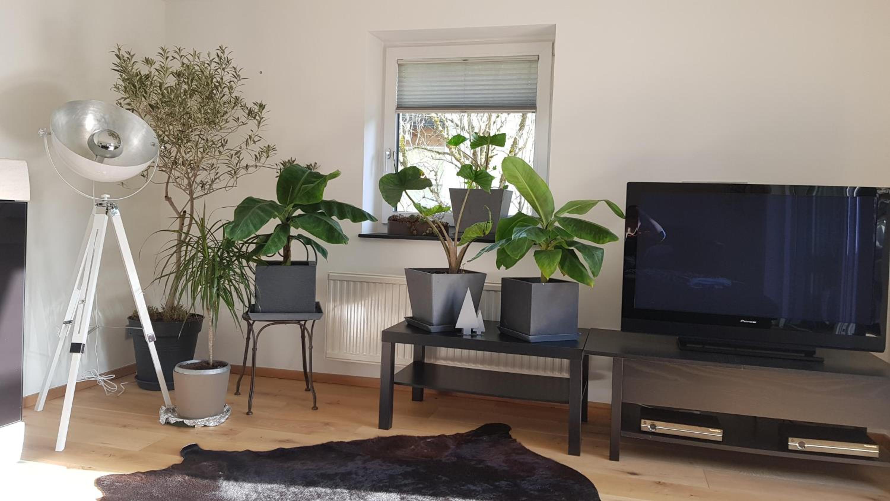 Jagd trifft Moderne & Boutique Jardin Ferienhaus