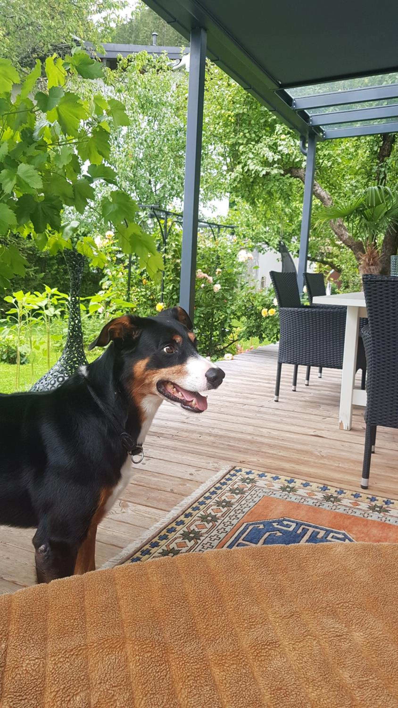 Jagd trifft Moderne & Boutique Jardin Ferienhaus