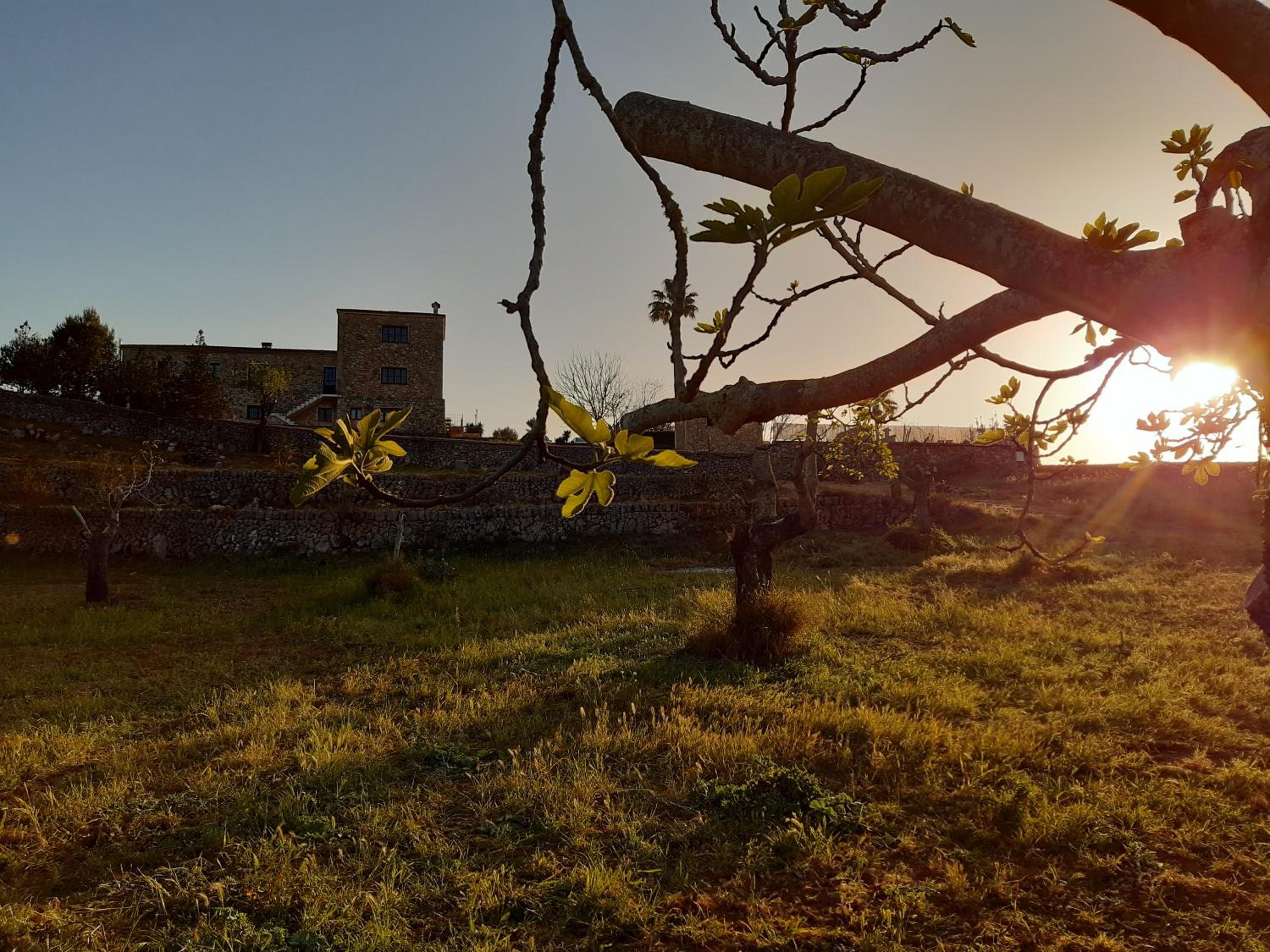 Agroturismo Ses Illes