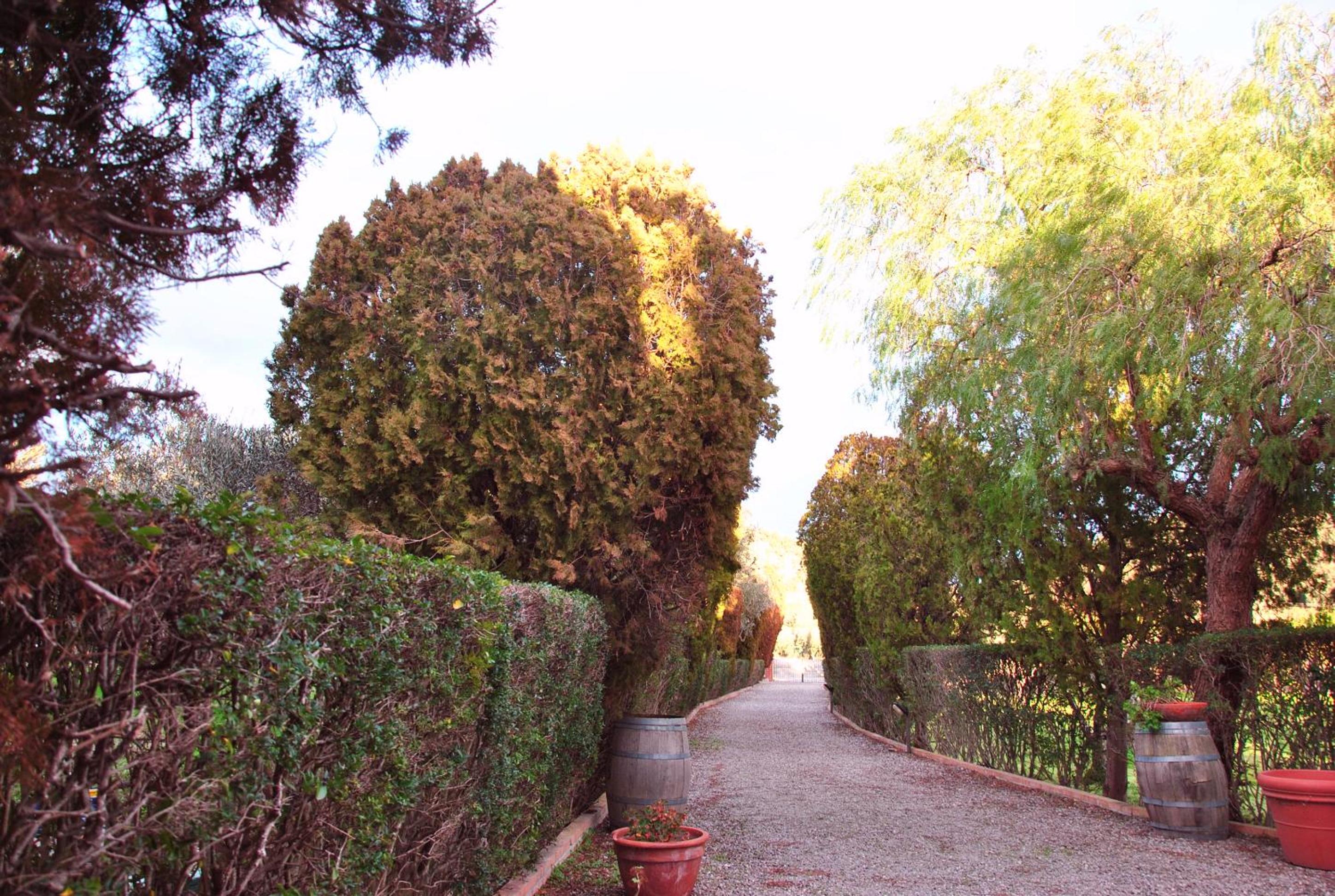 Photo 40