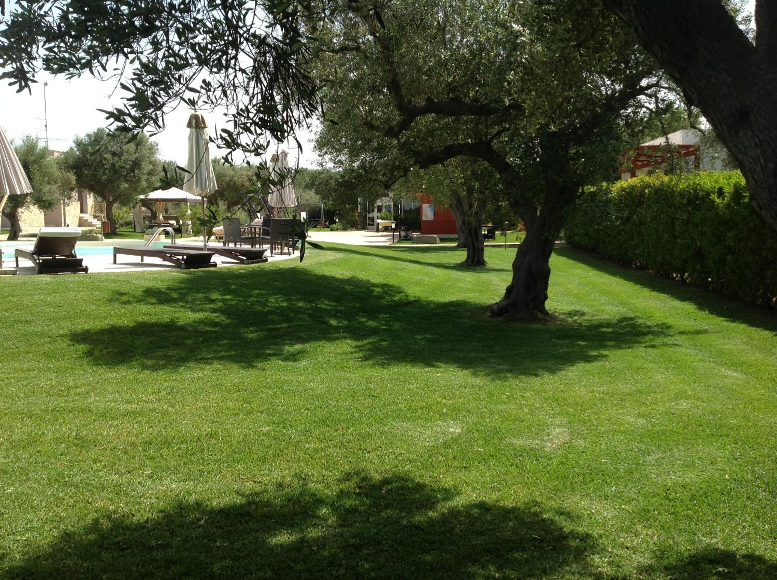 Photo 24
