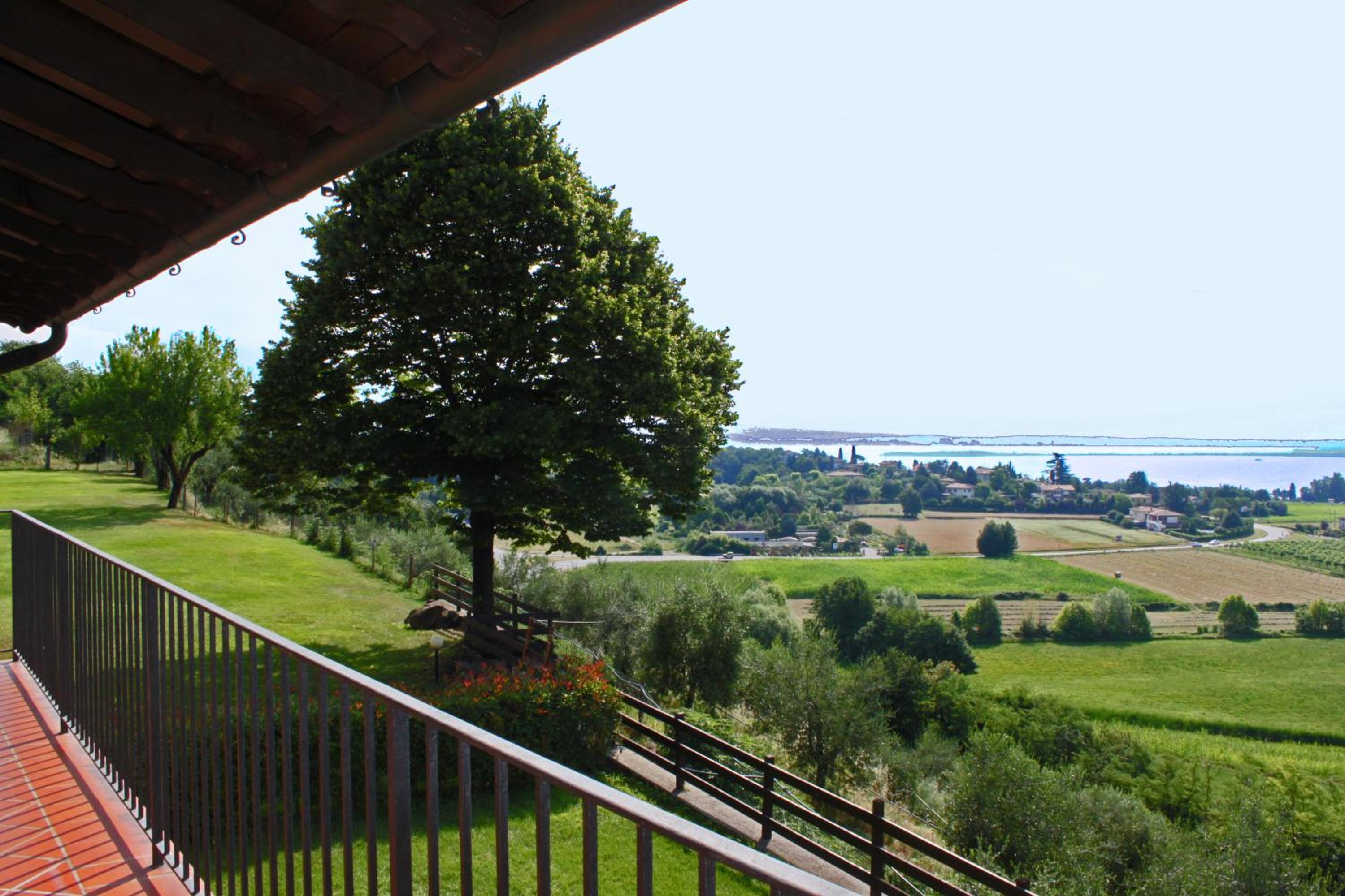 Photo 41