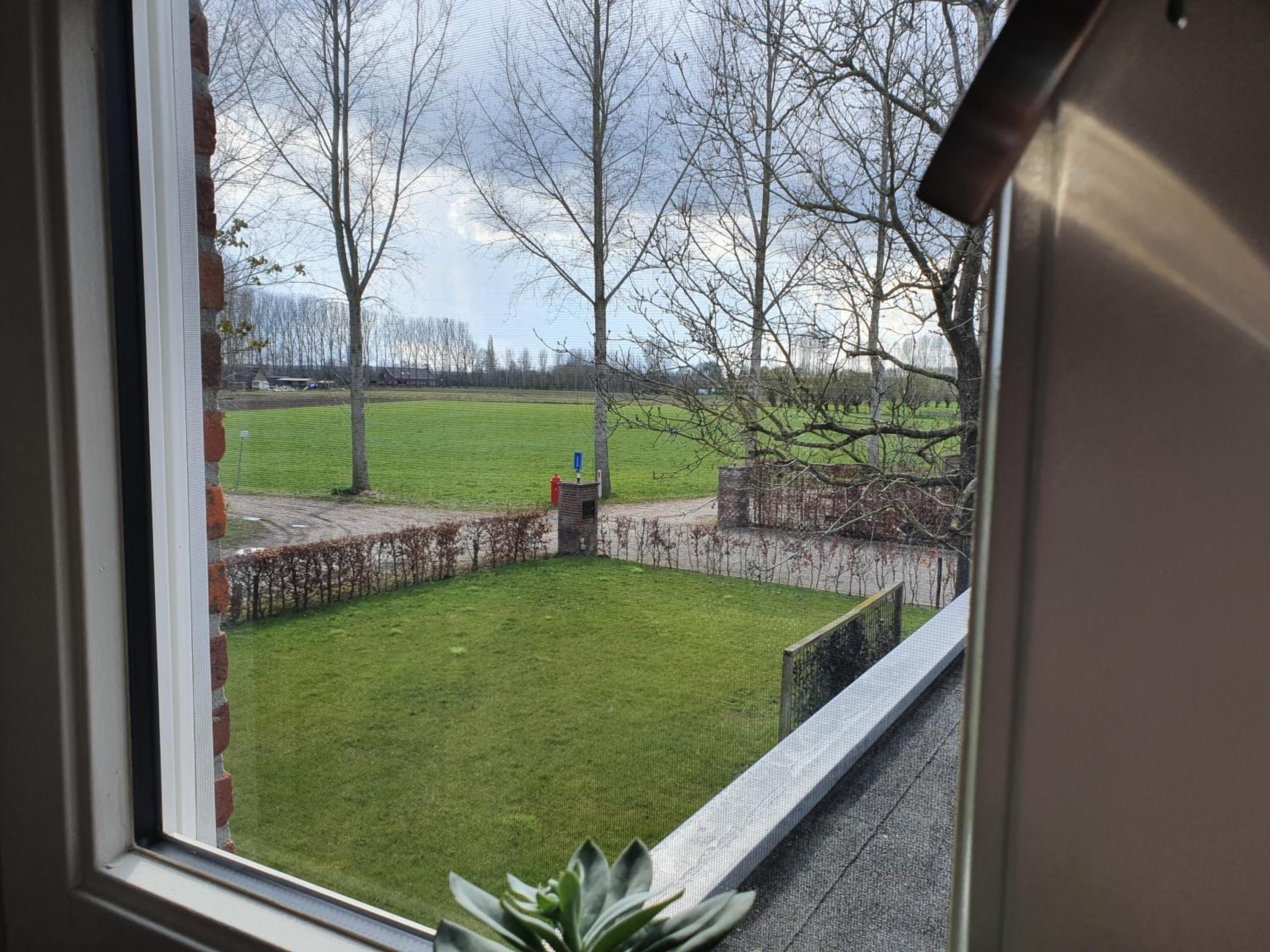 B & B de Stok view 4
