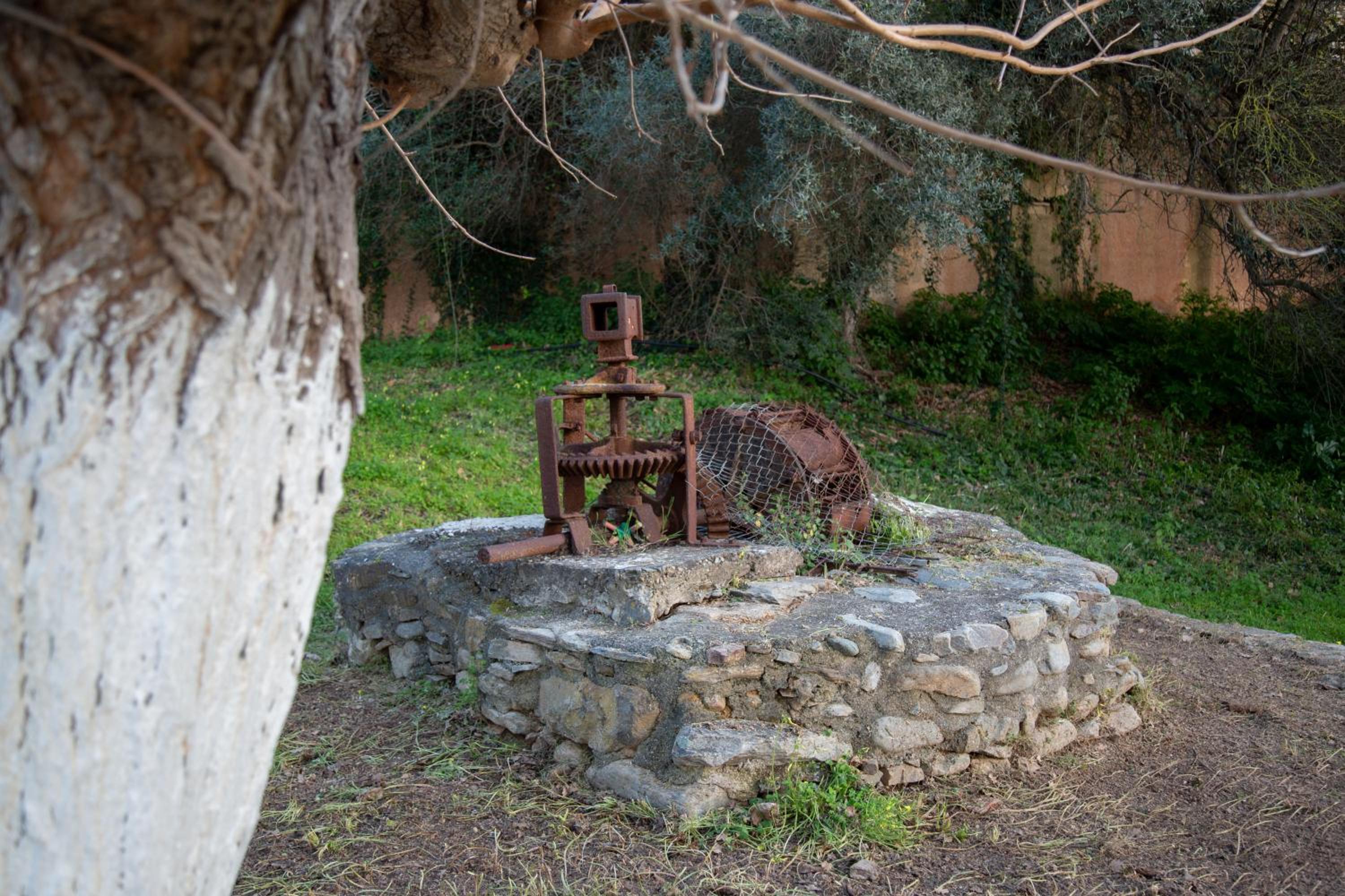 Photo 21