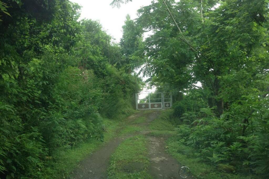 Photo 17