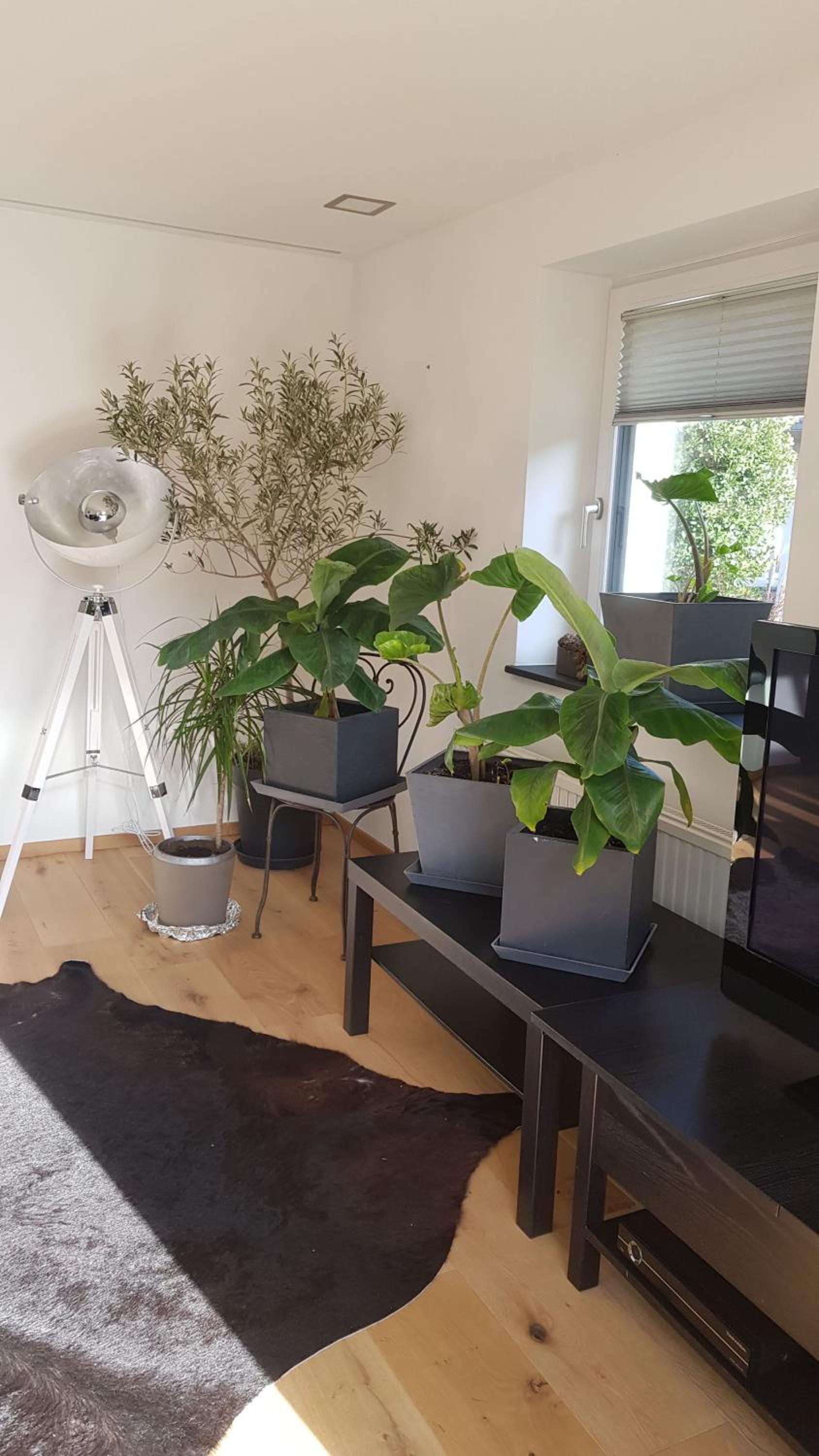 Jagd trifft Moderne & Boutique Jardin Ferienhaus