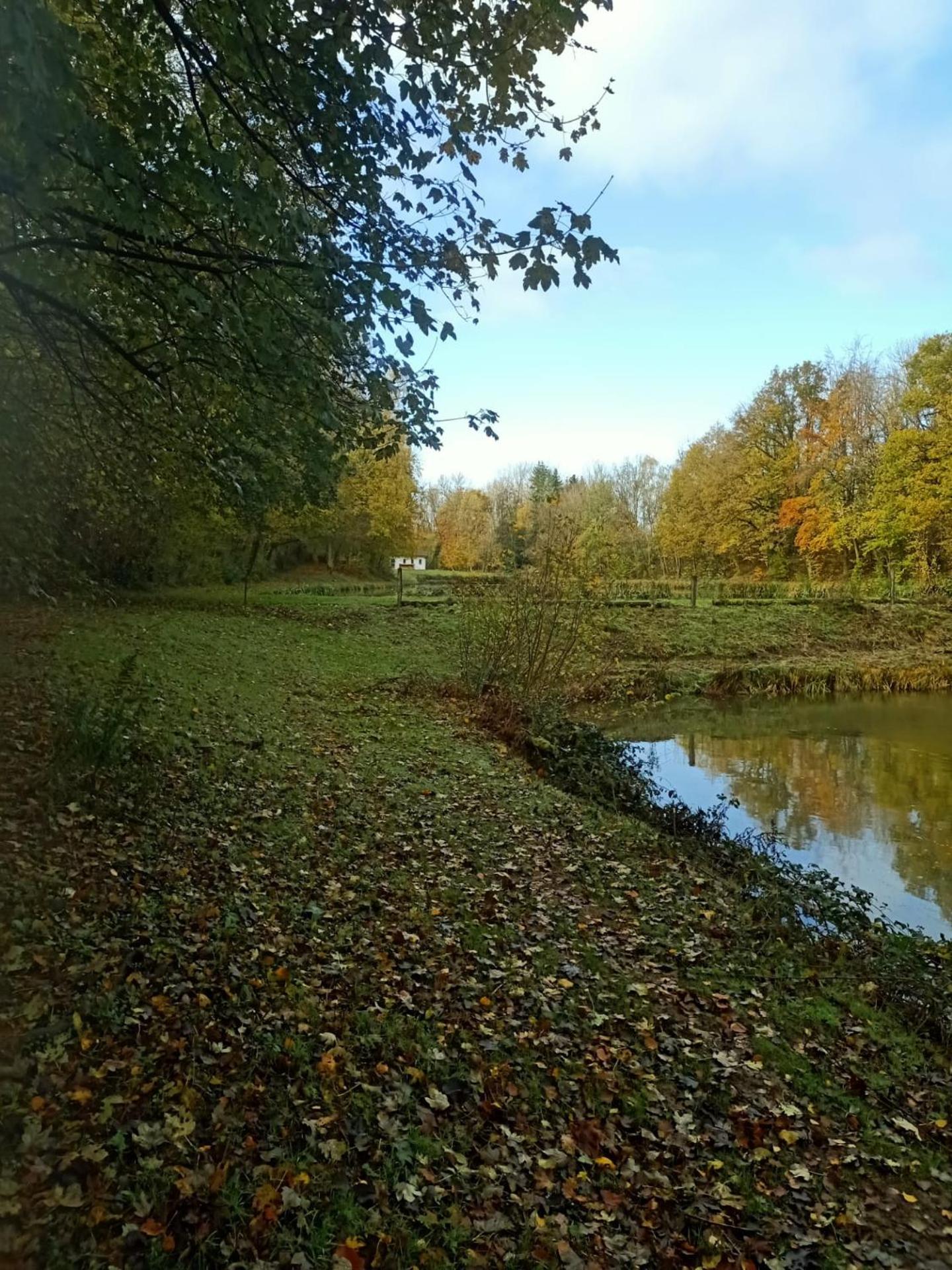 Deux étangs poissonneux au milieu des bois avec gîte moderne, la halte des deux lacs