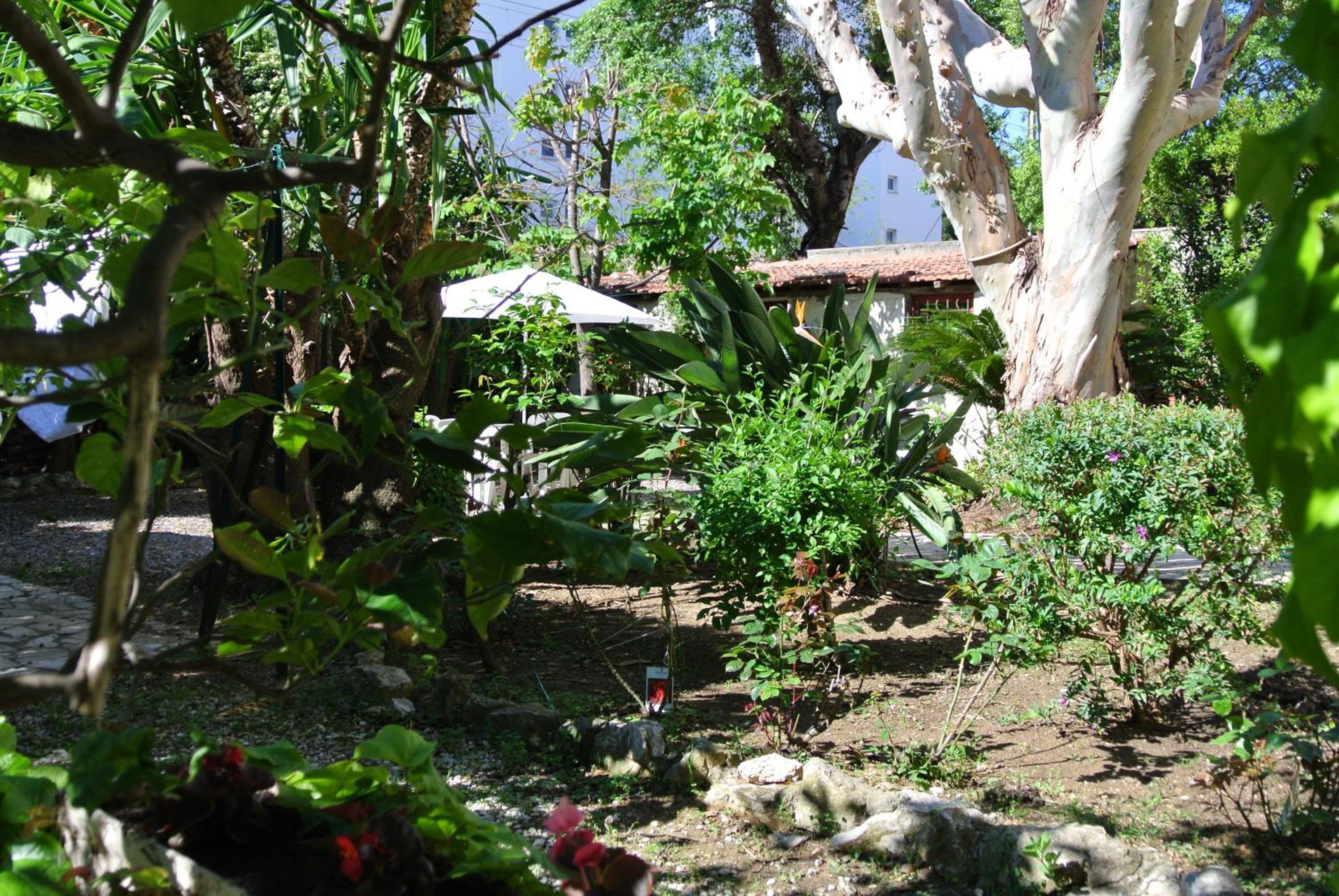 Hôtel Castel Mistral, photo 24