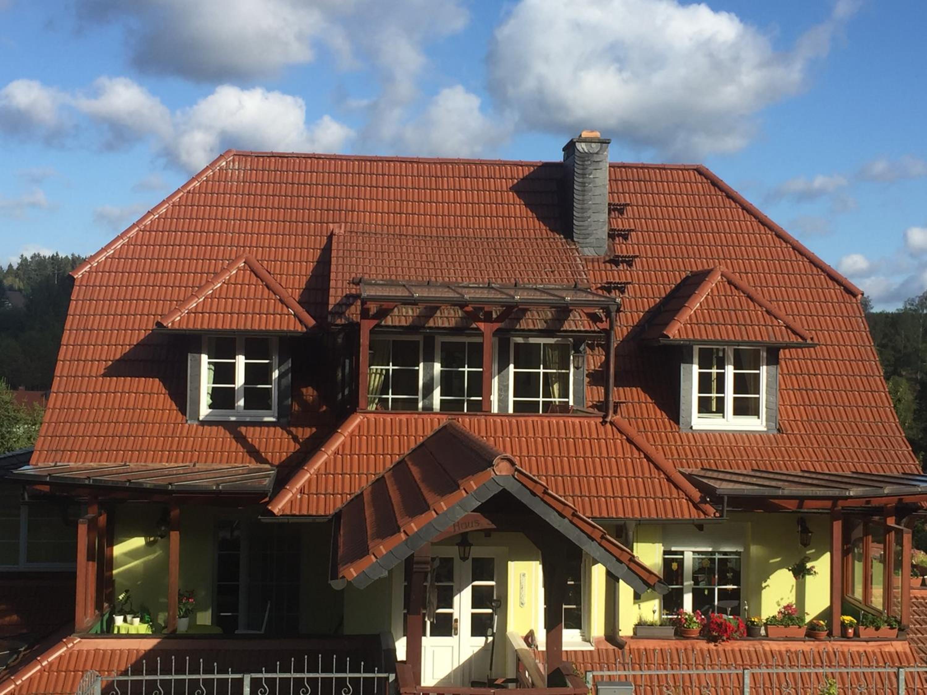 Alpaka Haus Sanssouci Tanne Oberharz