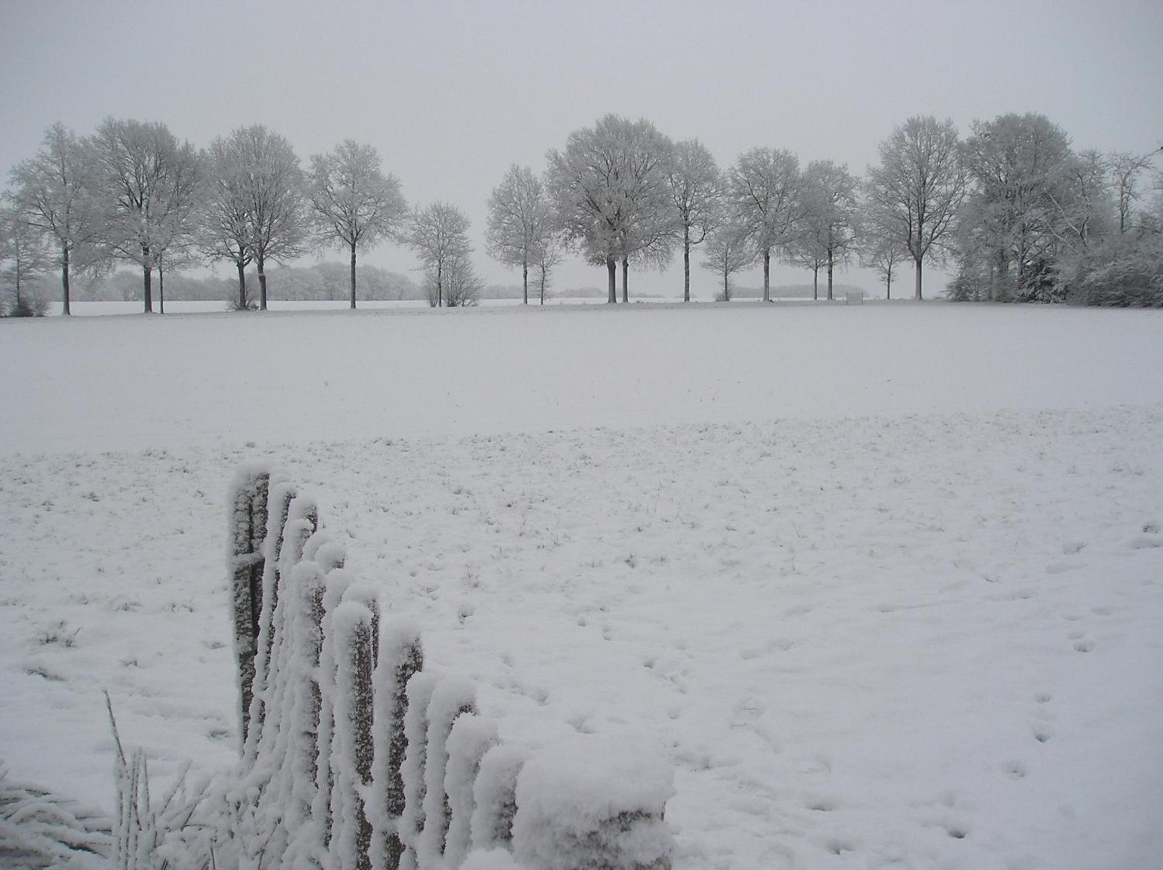 Photo 42
