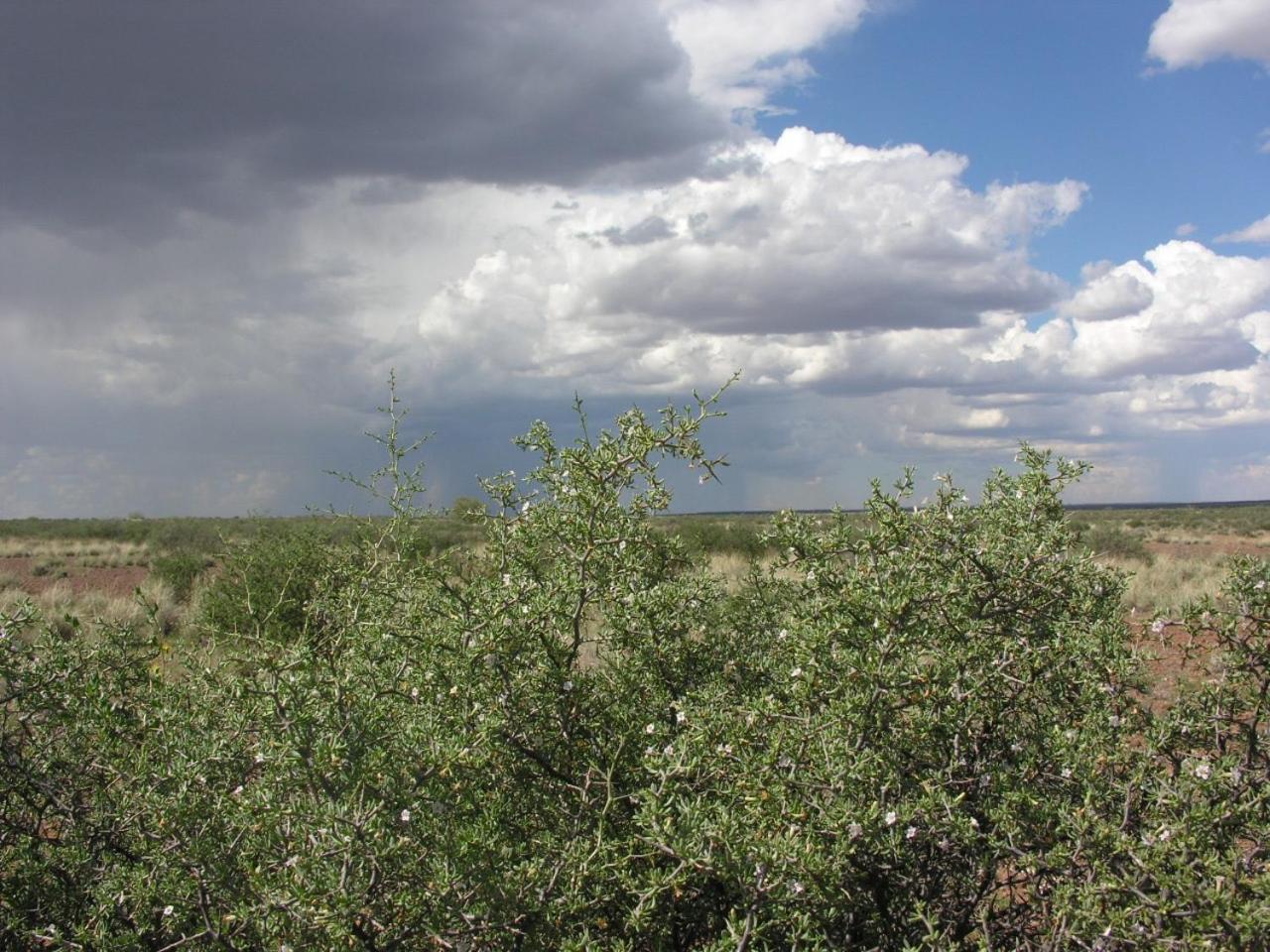 Photo 26