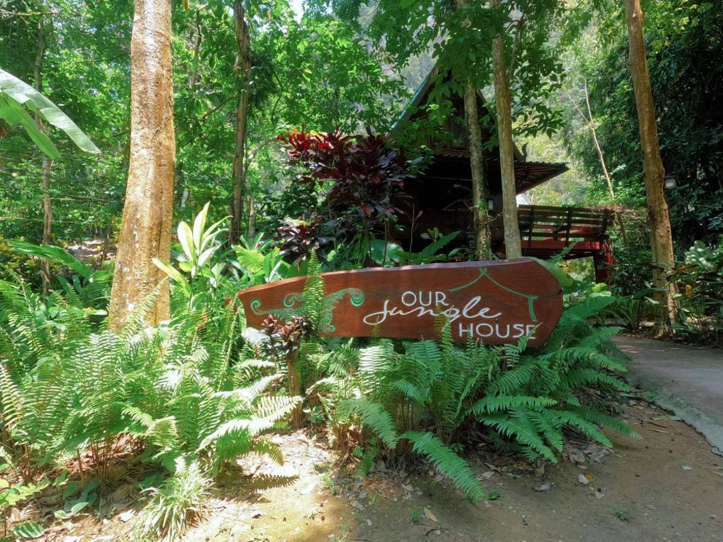 Our Jungle House