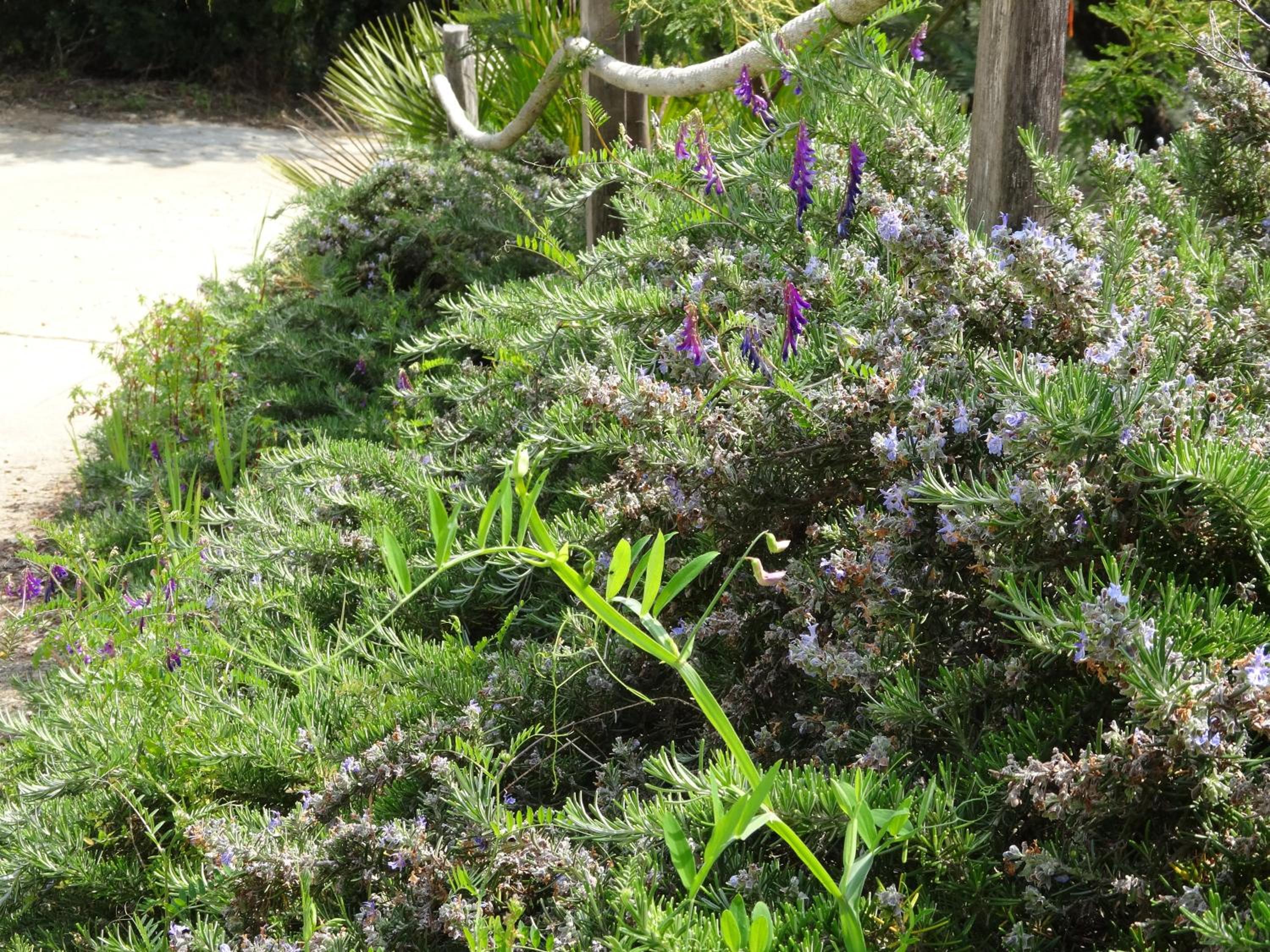 Photo 22