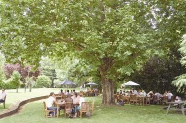Petersons Armidale Winery and Guesthouse