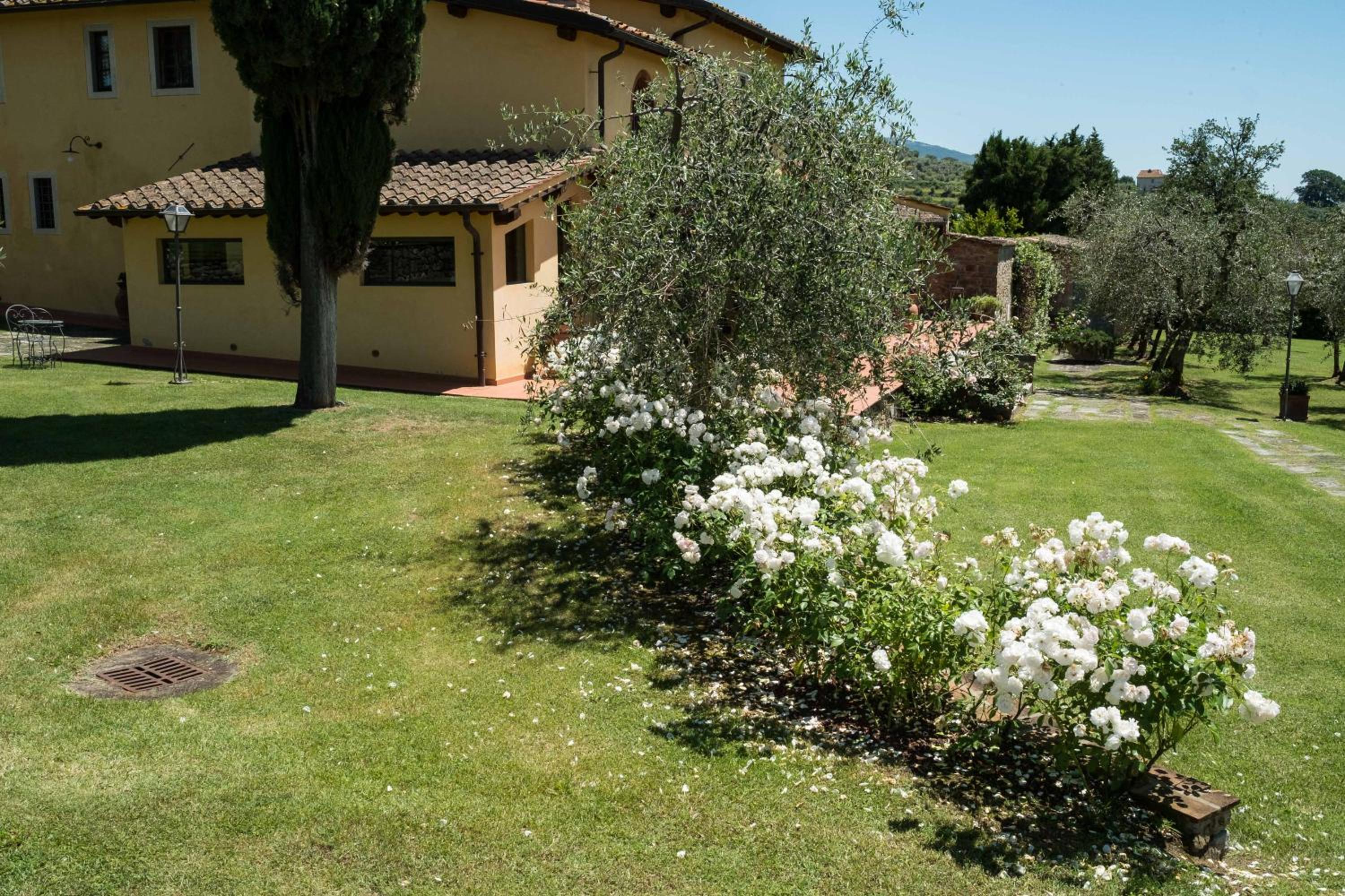 Photo 37