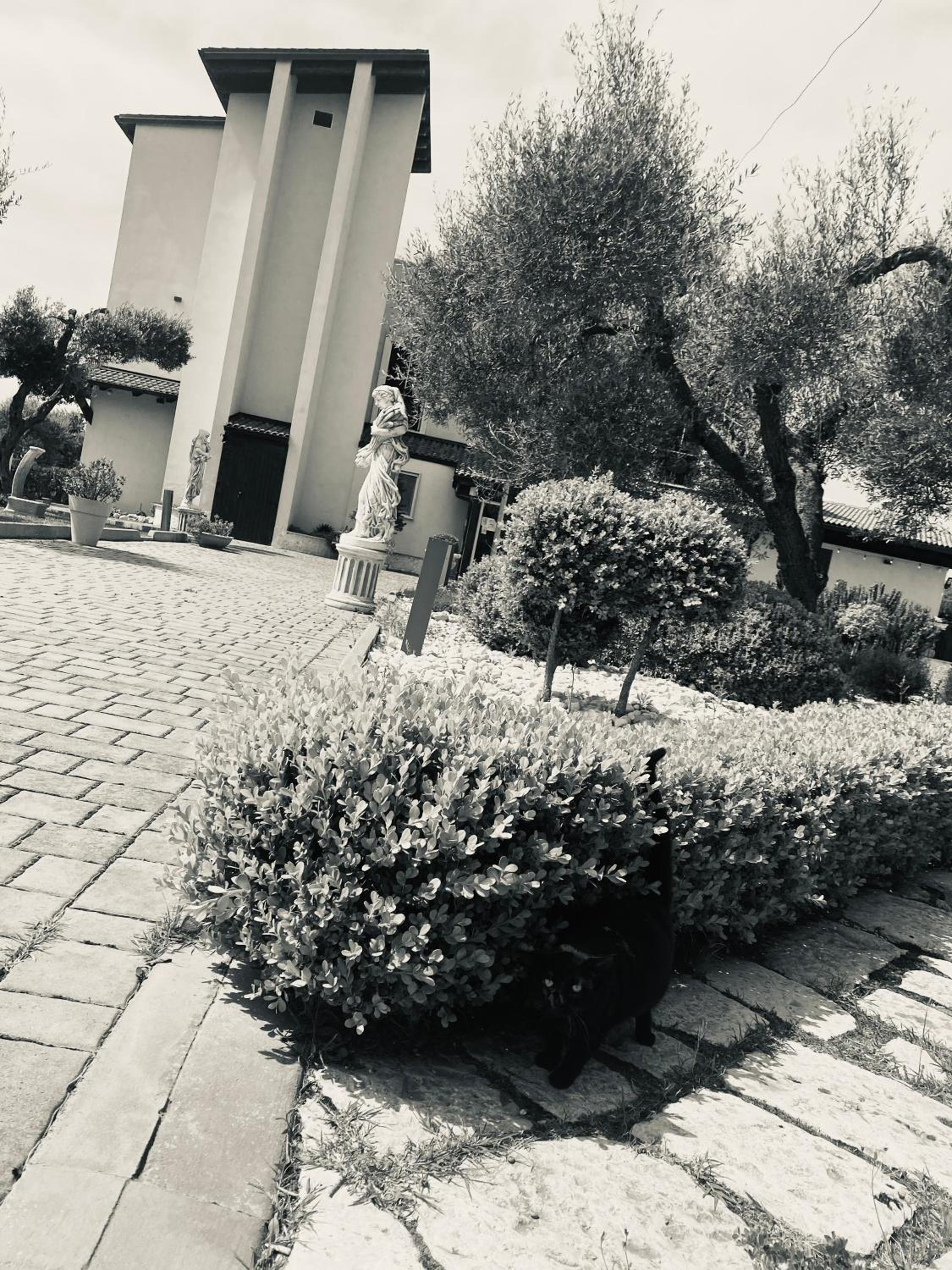 Villa D'Anzi B&B photo 1