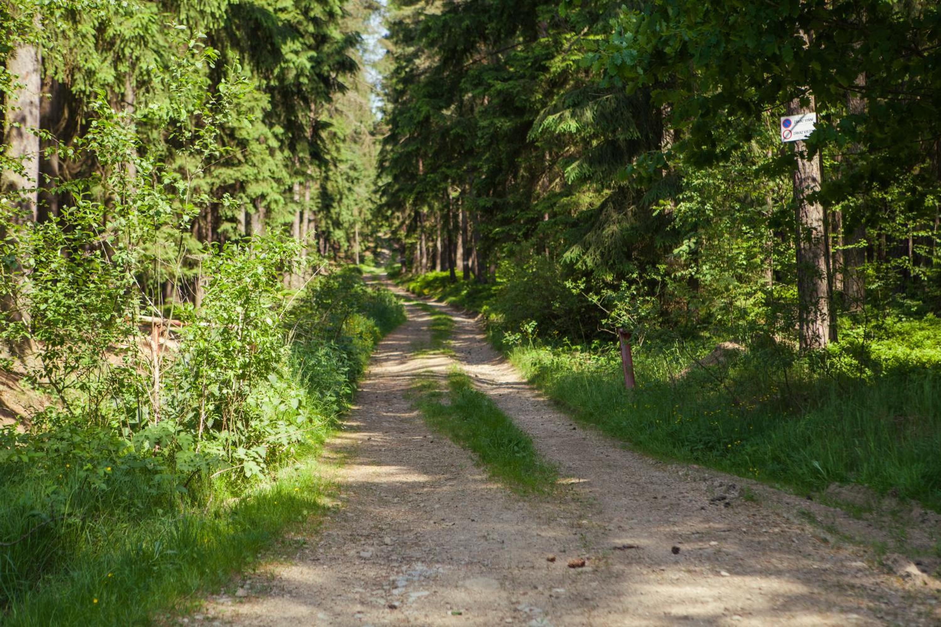 Photo 45