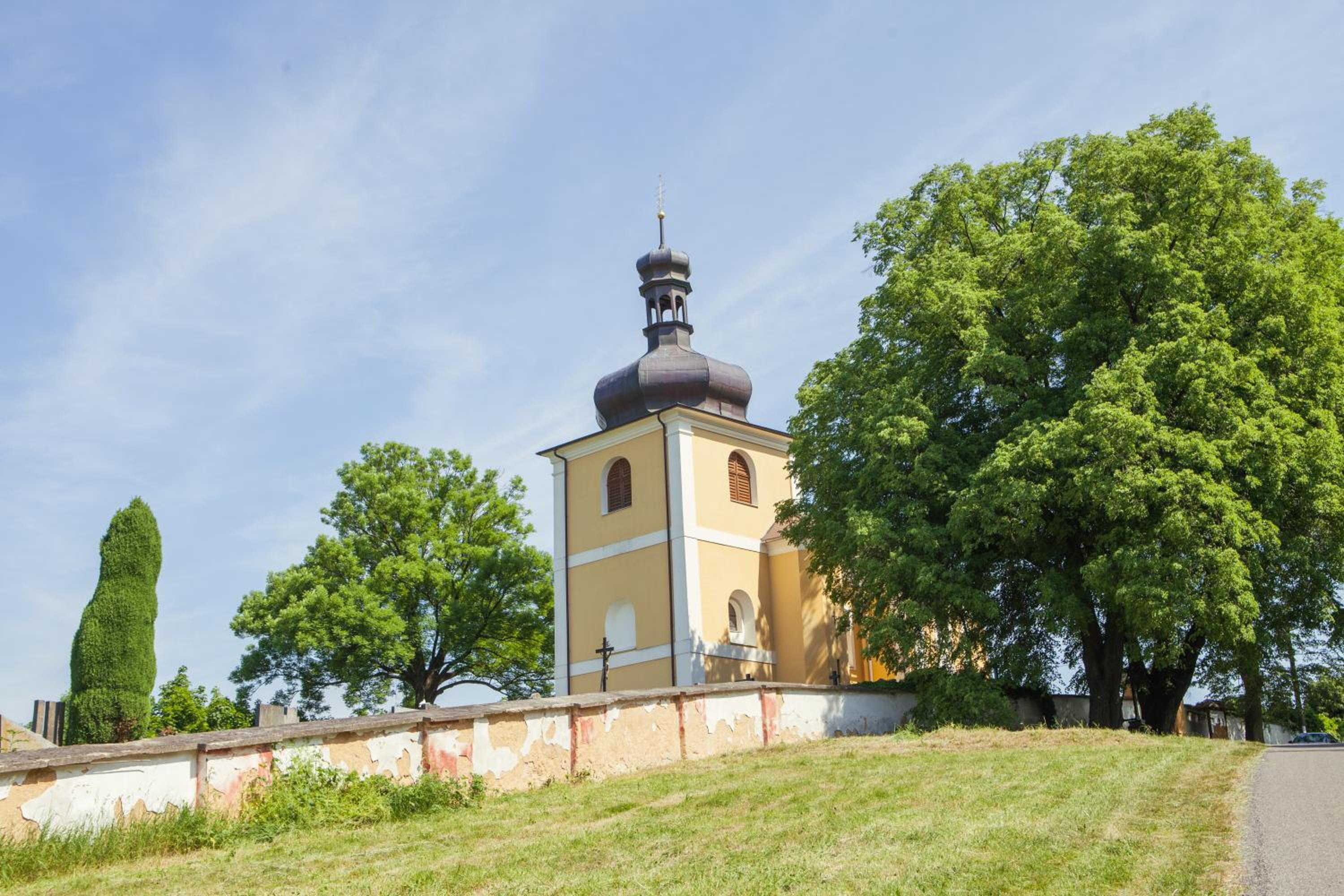 Photo 41