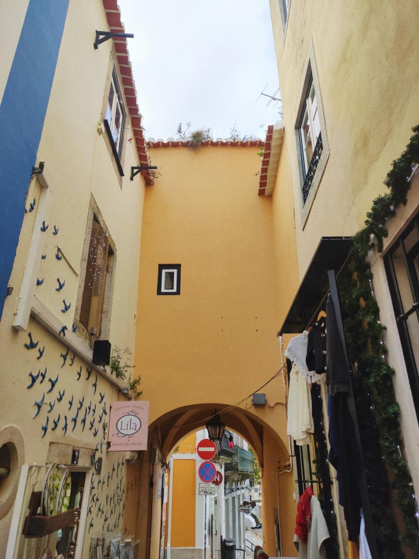 Casa d Sintra view 4