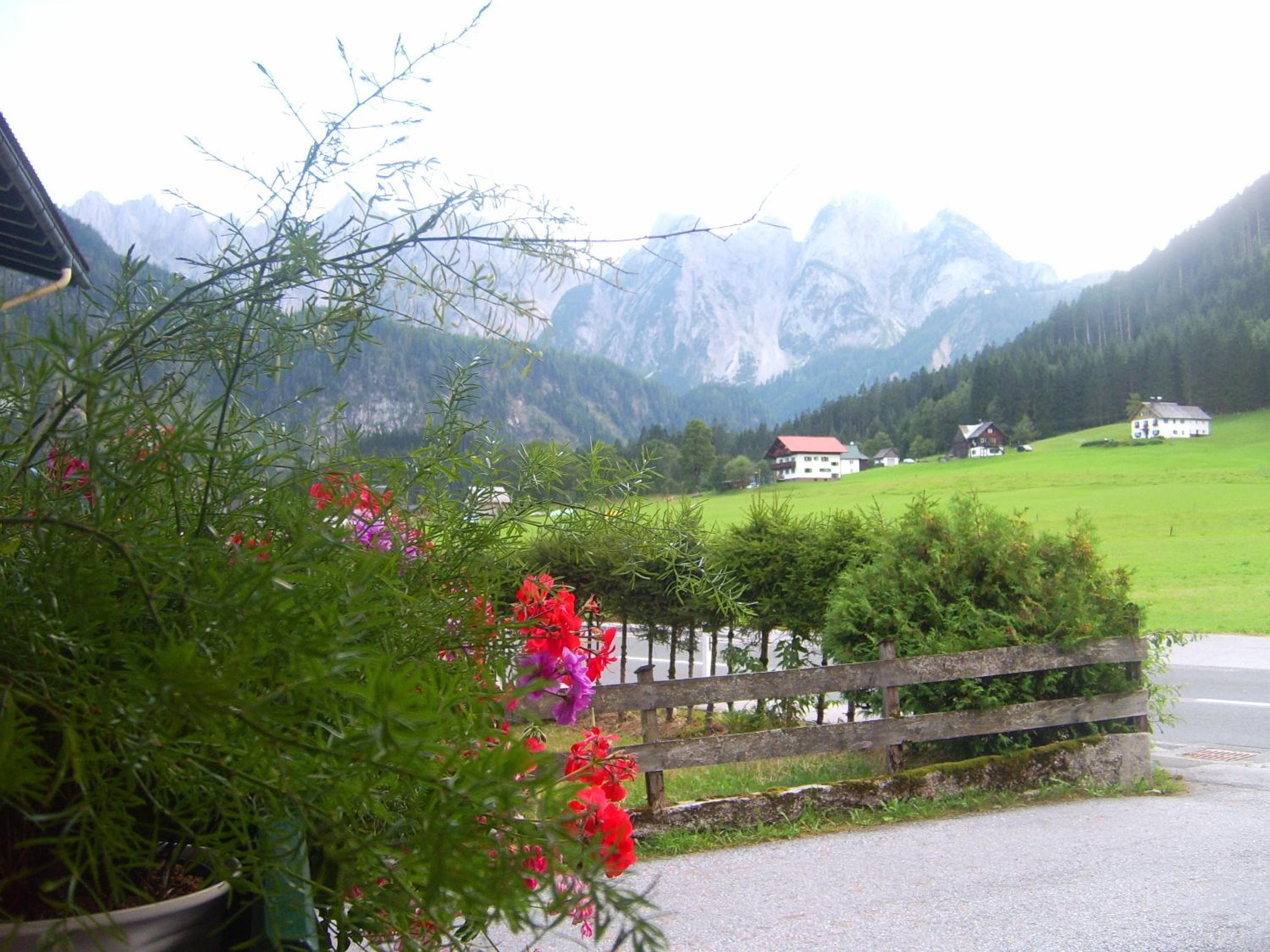 Privatpension Gosaukammblick