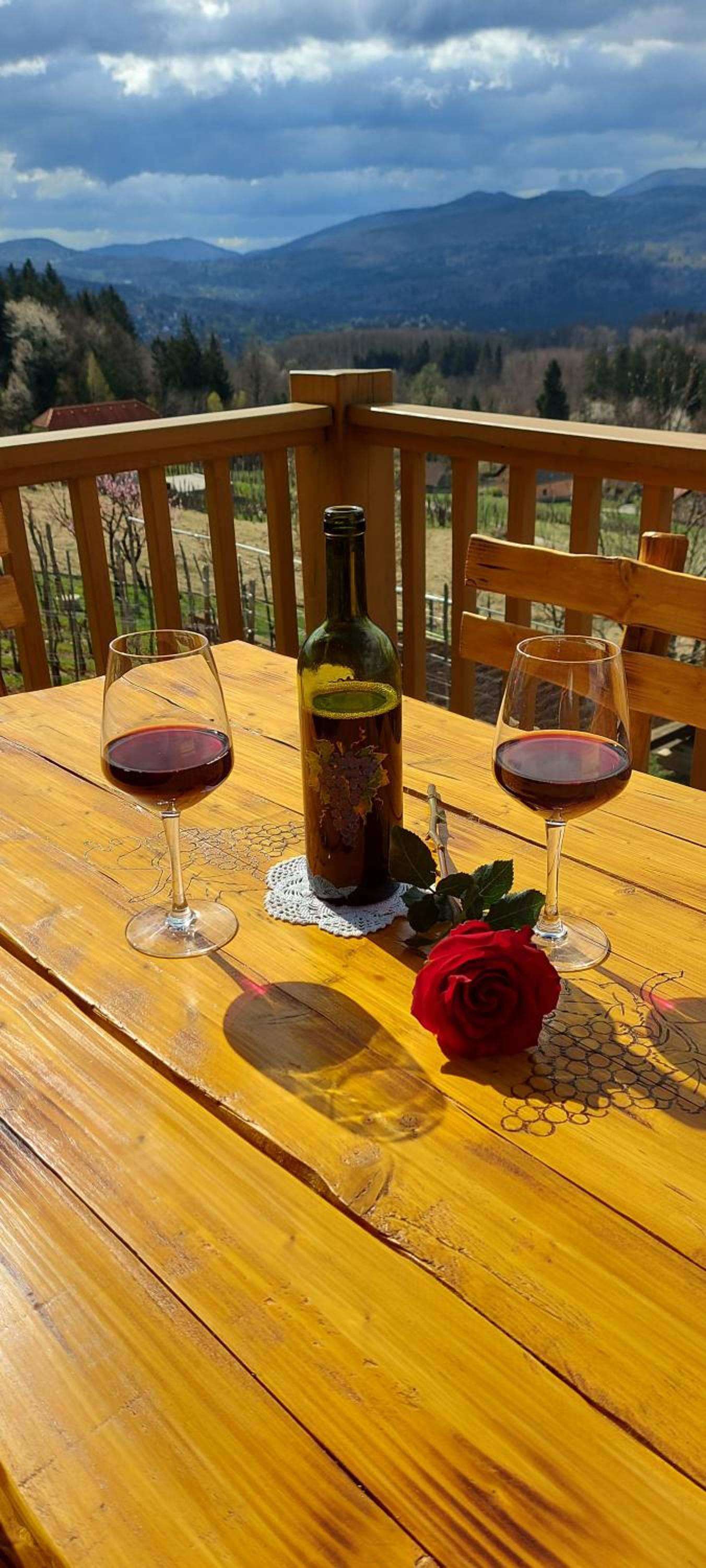 Vineyard cottage Stopar view 5