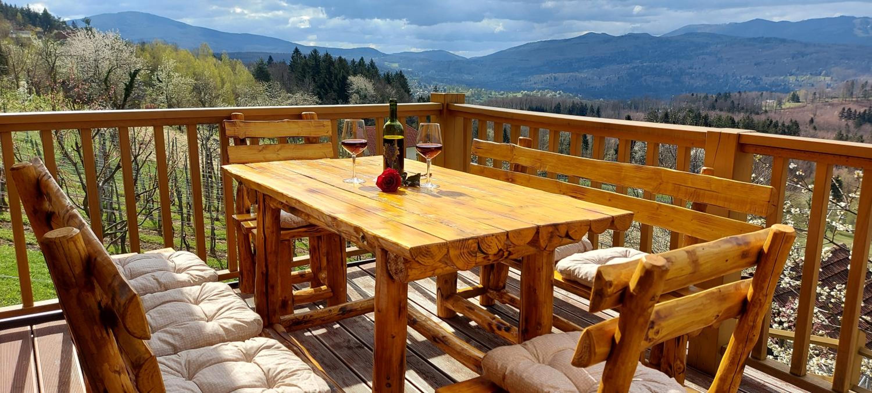 Vineyard cottage Stopar view 4