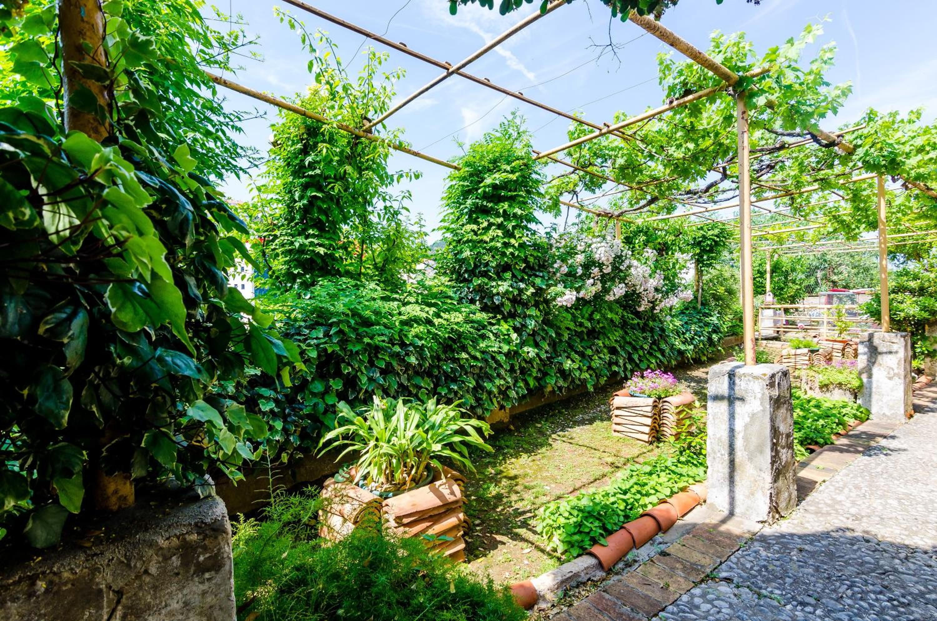 Guest House Ivana