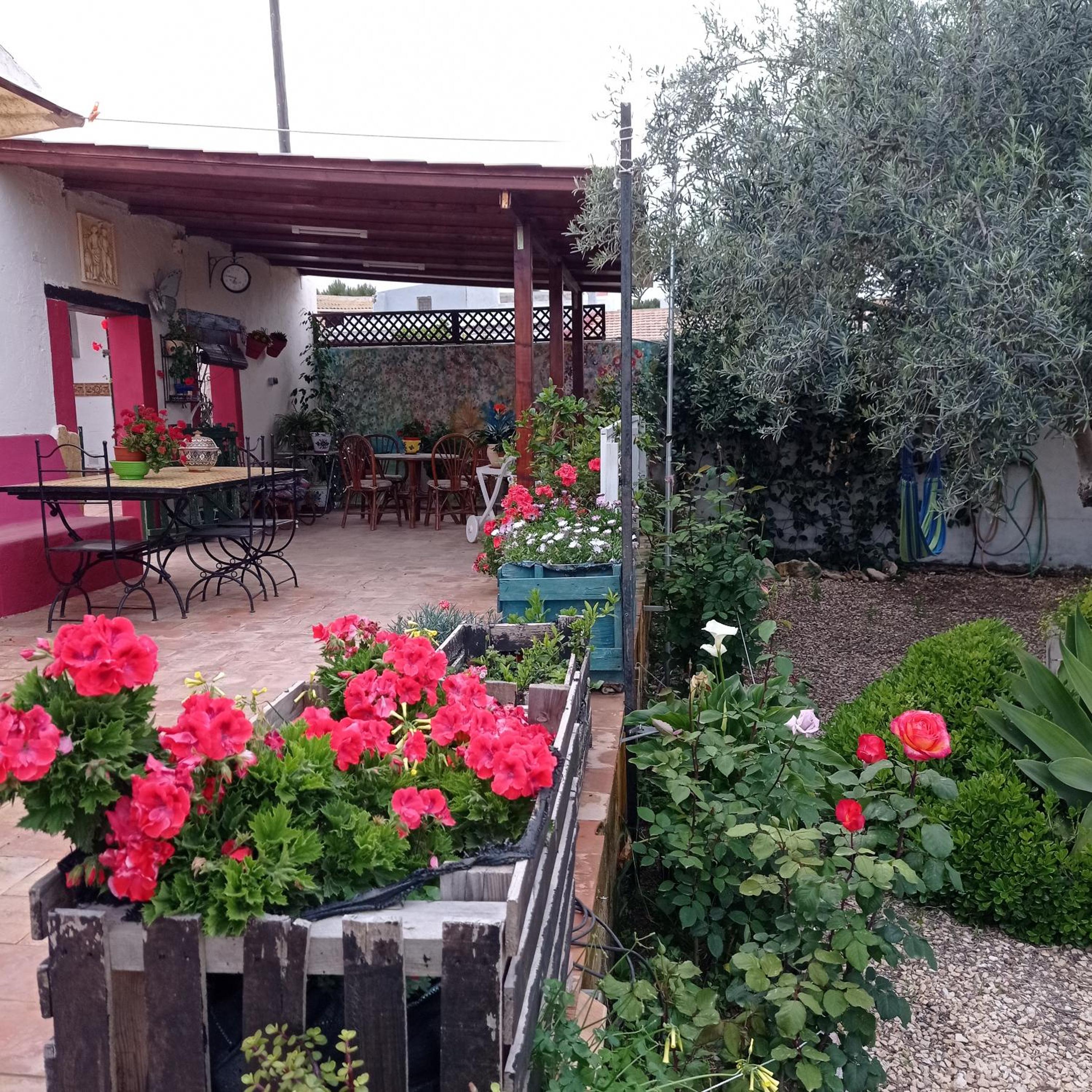 Photo 22