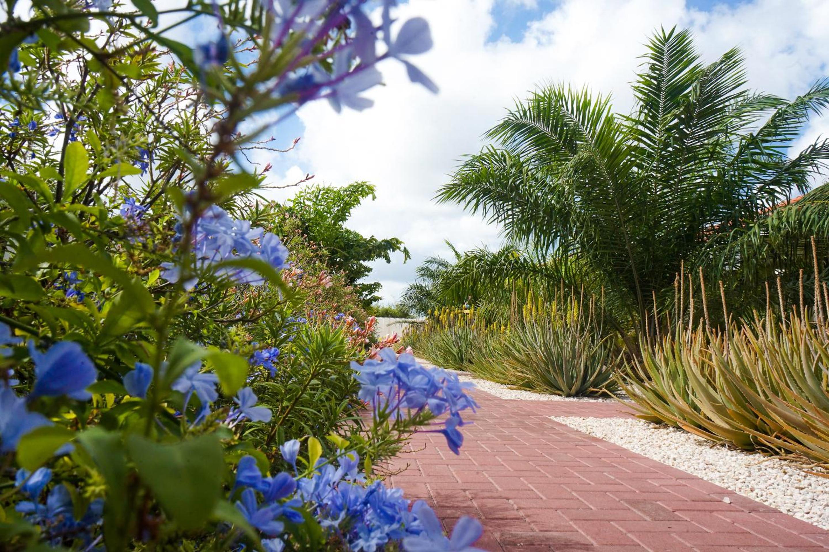 ABC Resort Curacao