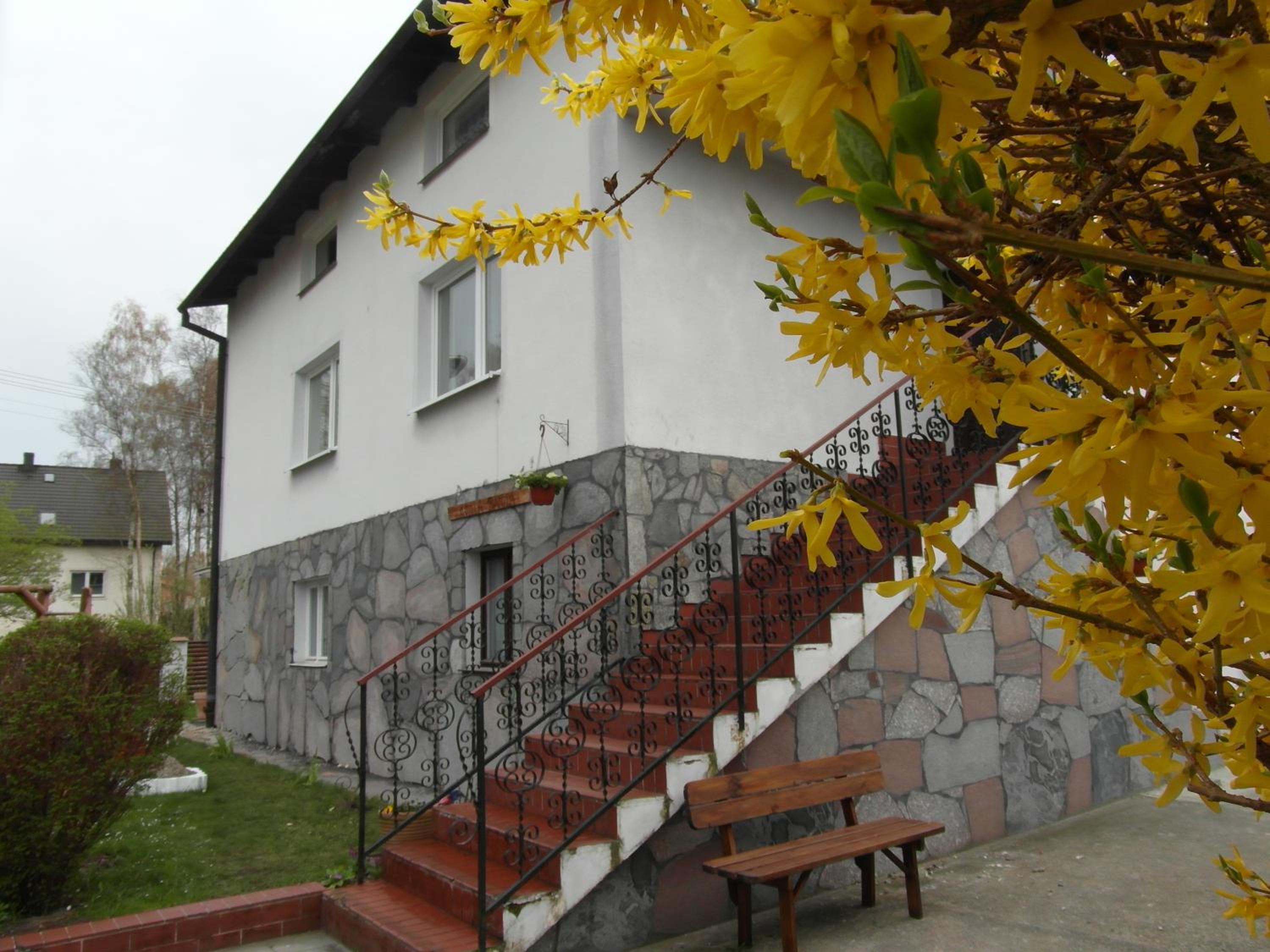 Photo 40
