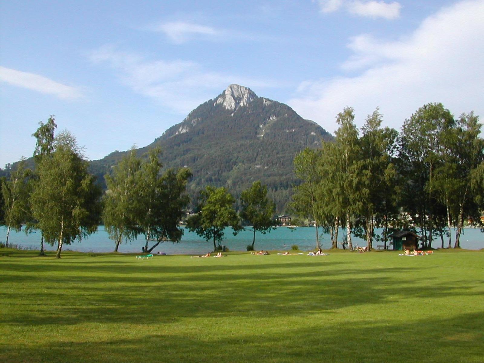Photo 31