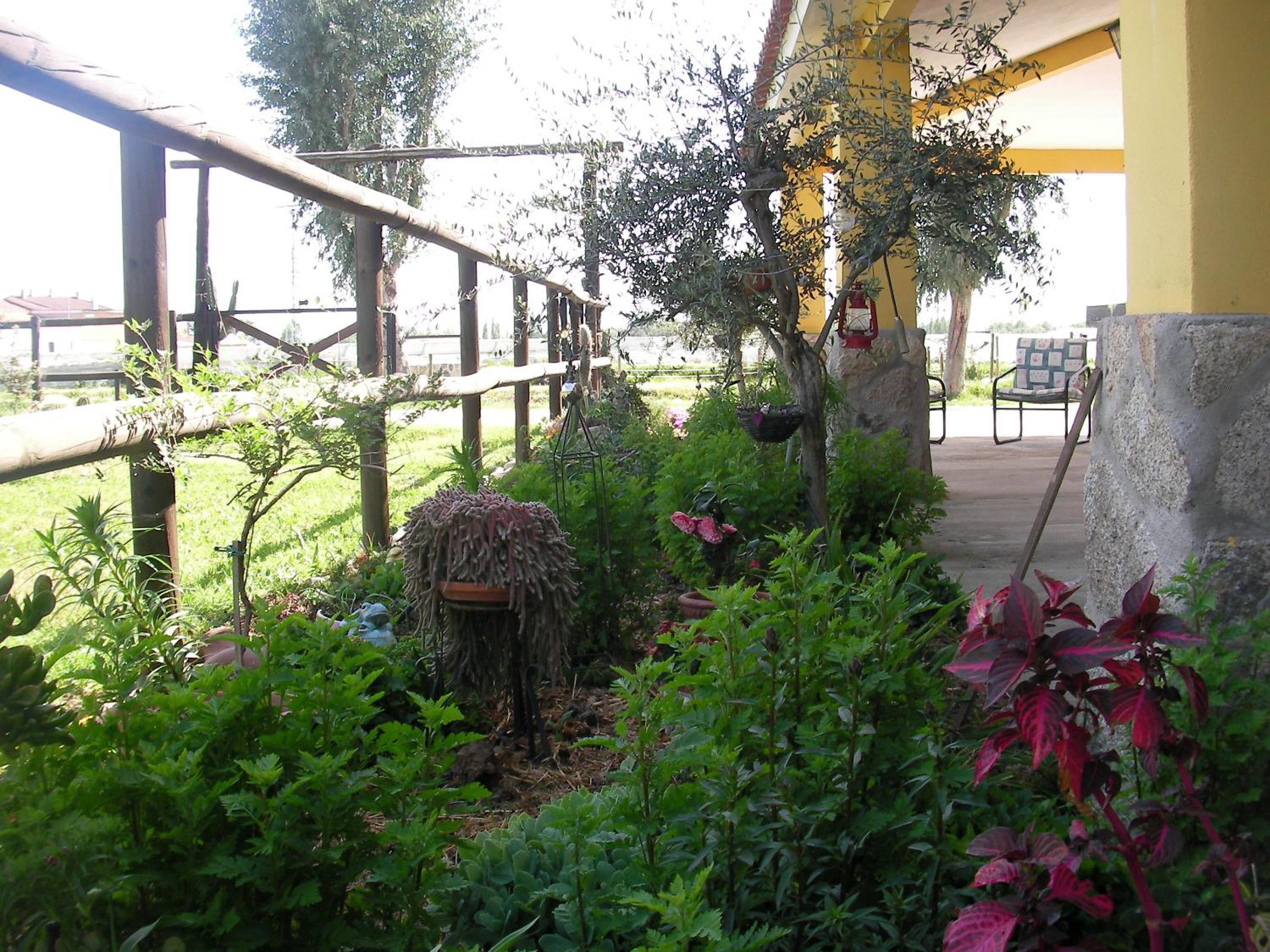 Photo 28